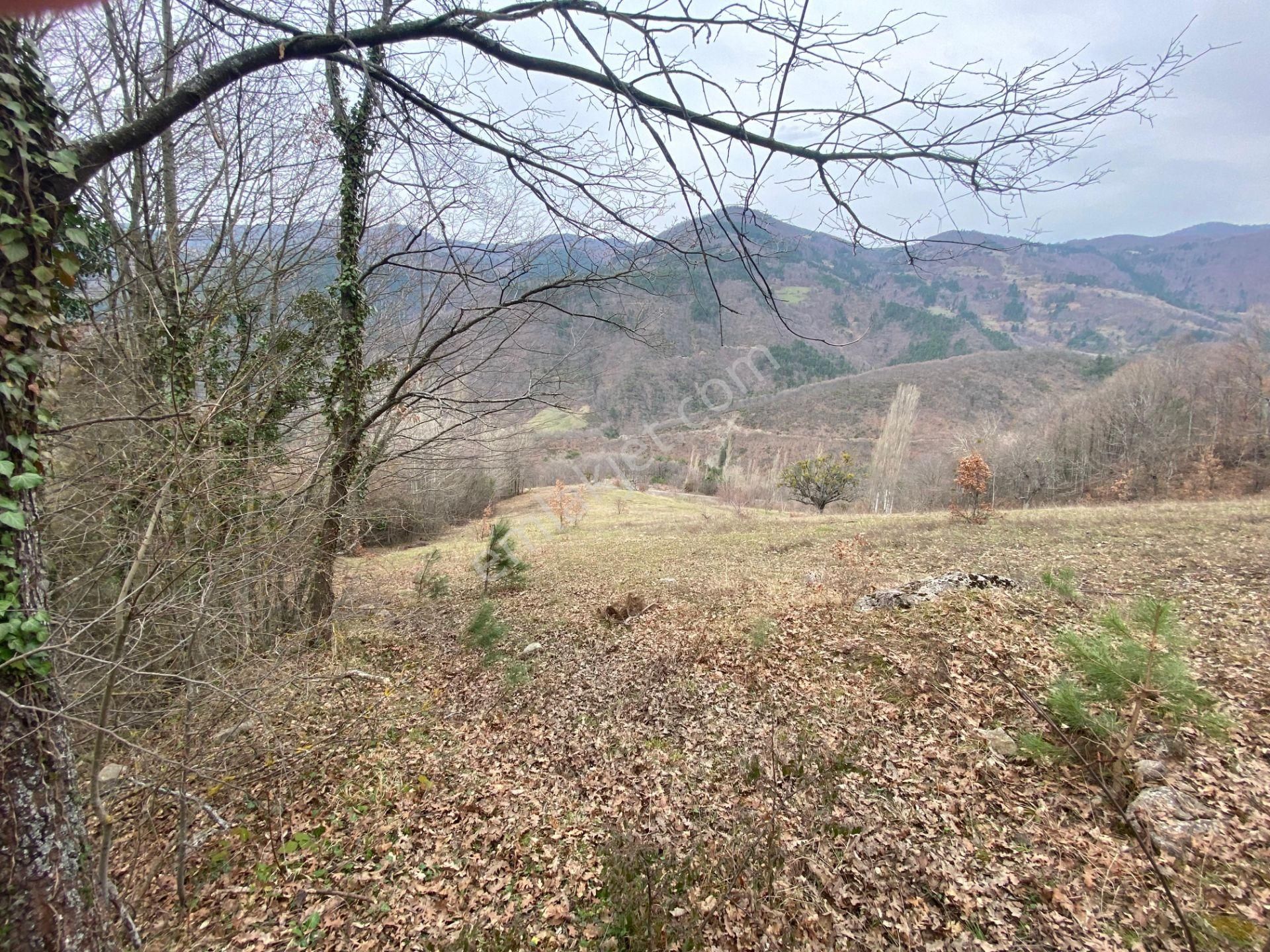 Geyve Koru Satılık Konut İmarlı  SAKARYA GEYVE KORU MAHALLESİNDE 1112 M2 ARSA