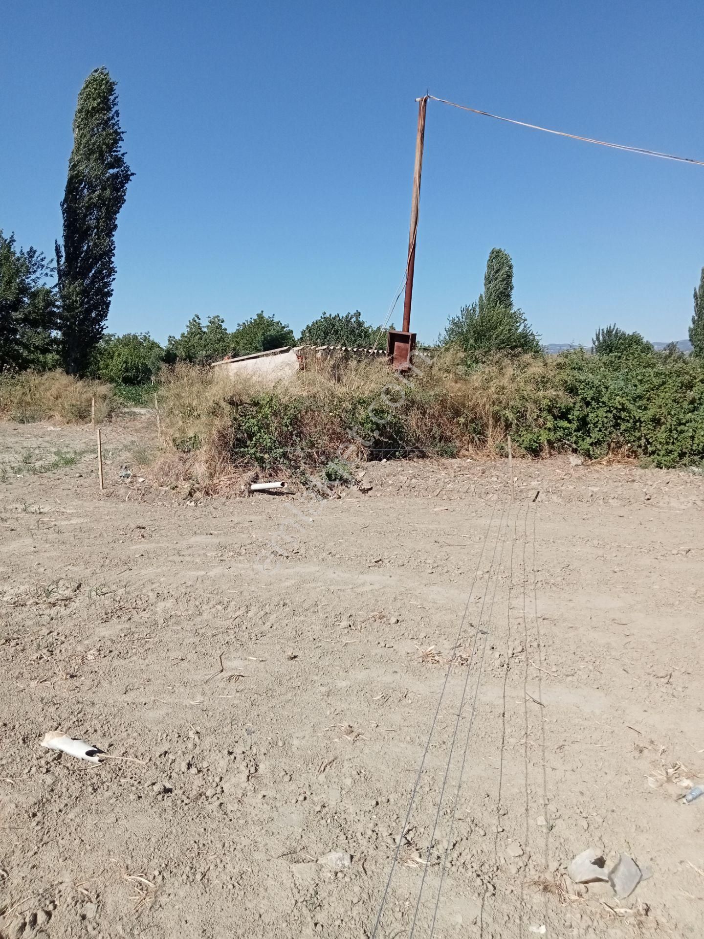 Egeturemlaktan Seferihisar Düzceden .12.600.dünüm Acilen Satılık Tarla - Görsel 25