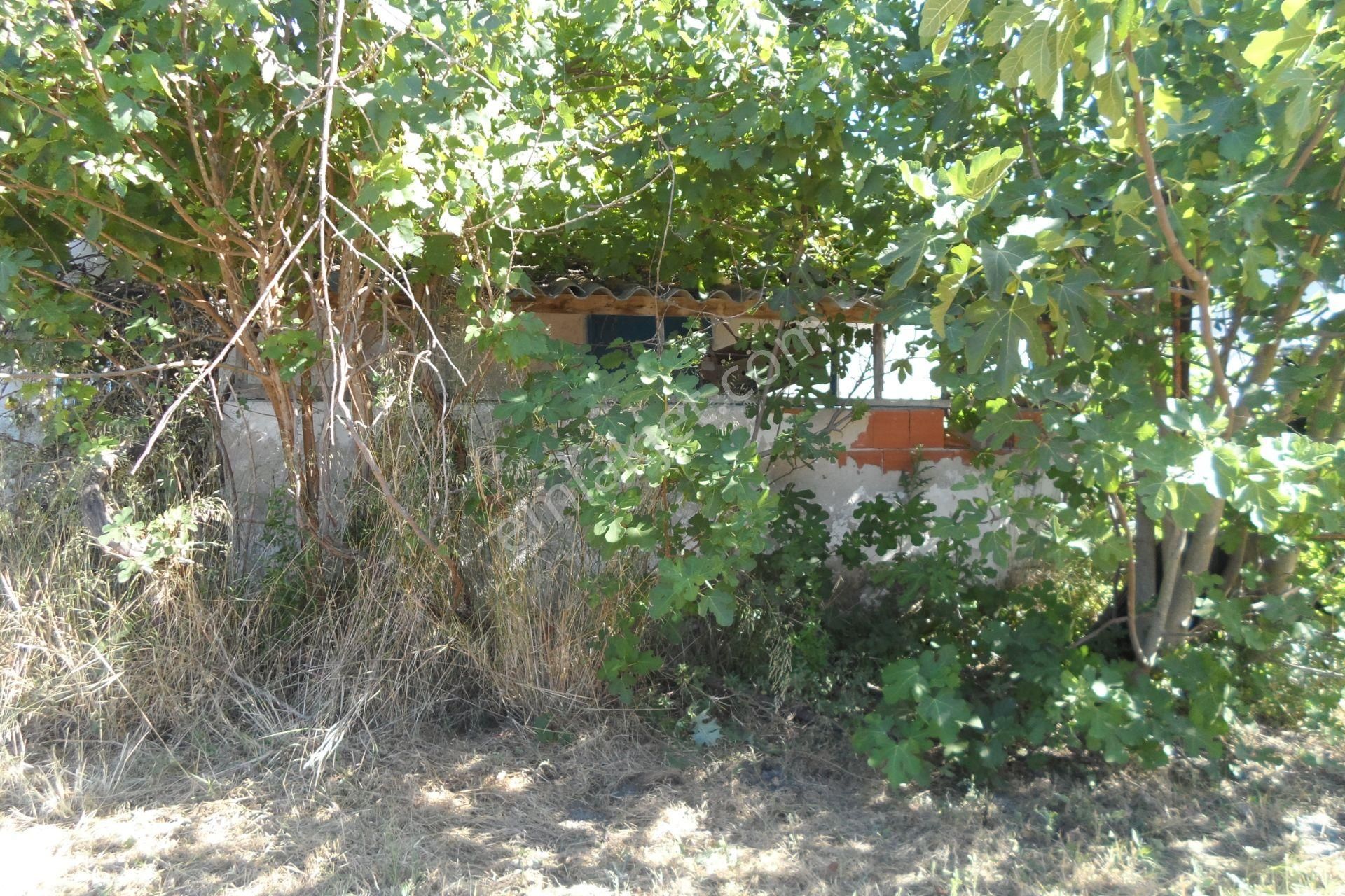 Egeturemlaktan Seferihisar Düzceden .12.600.dünüm Acilen Satılık Tarla - Görsel 6