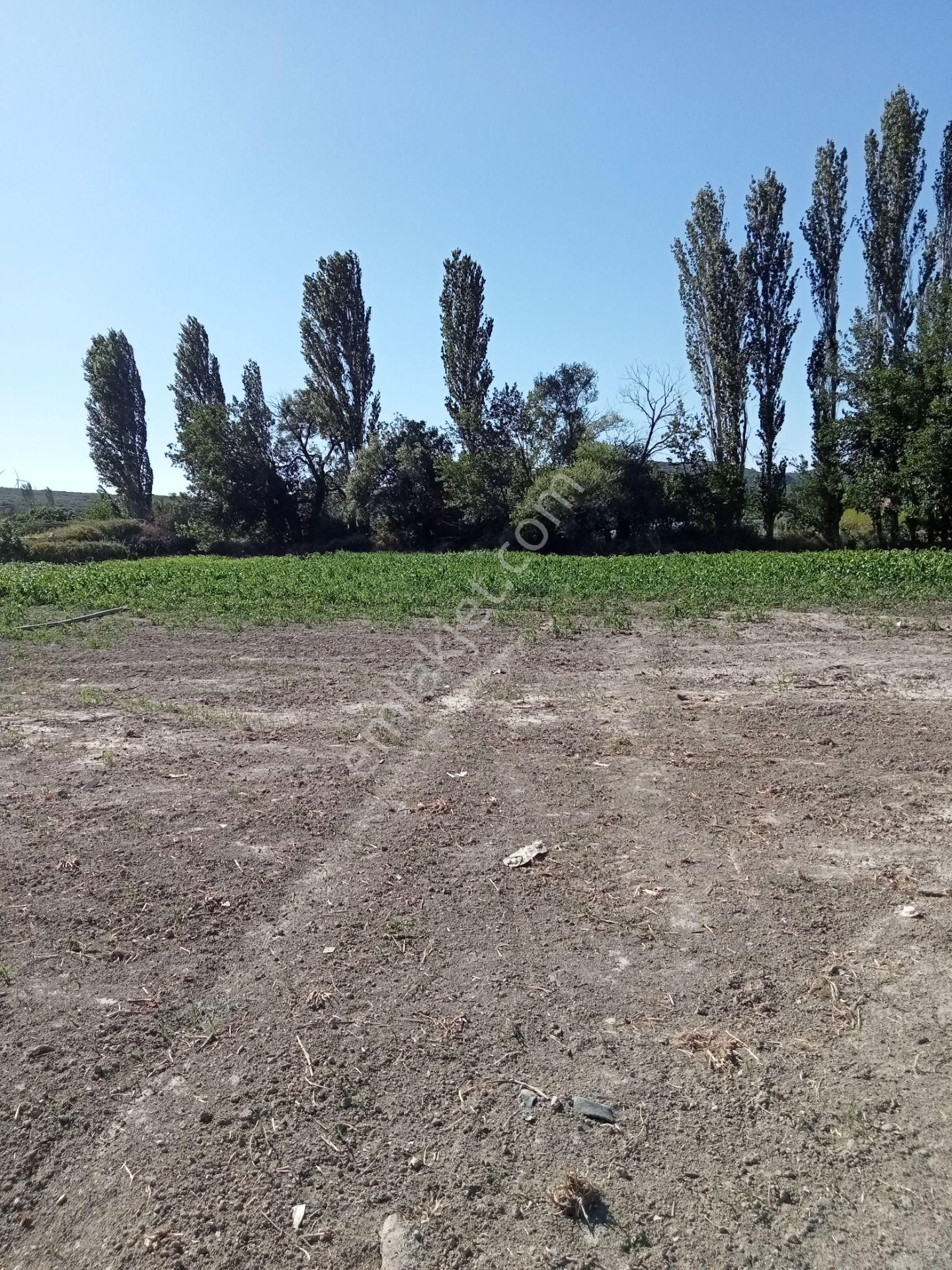 Egeturemlaktan Seferihisar Düzceden .12.600.dünüm Acilen Satılık Tarla - Görsel 24