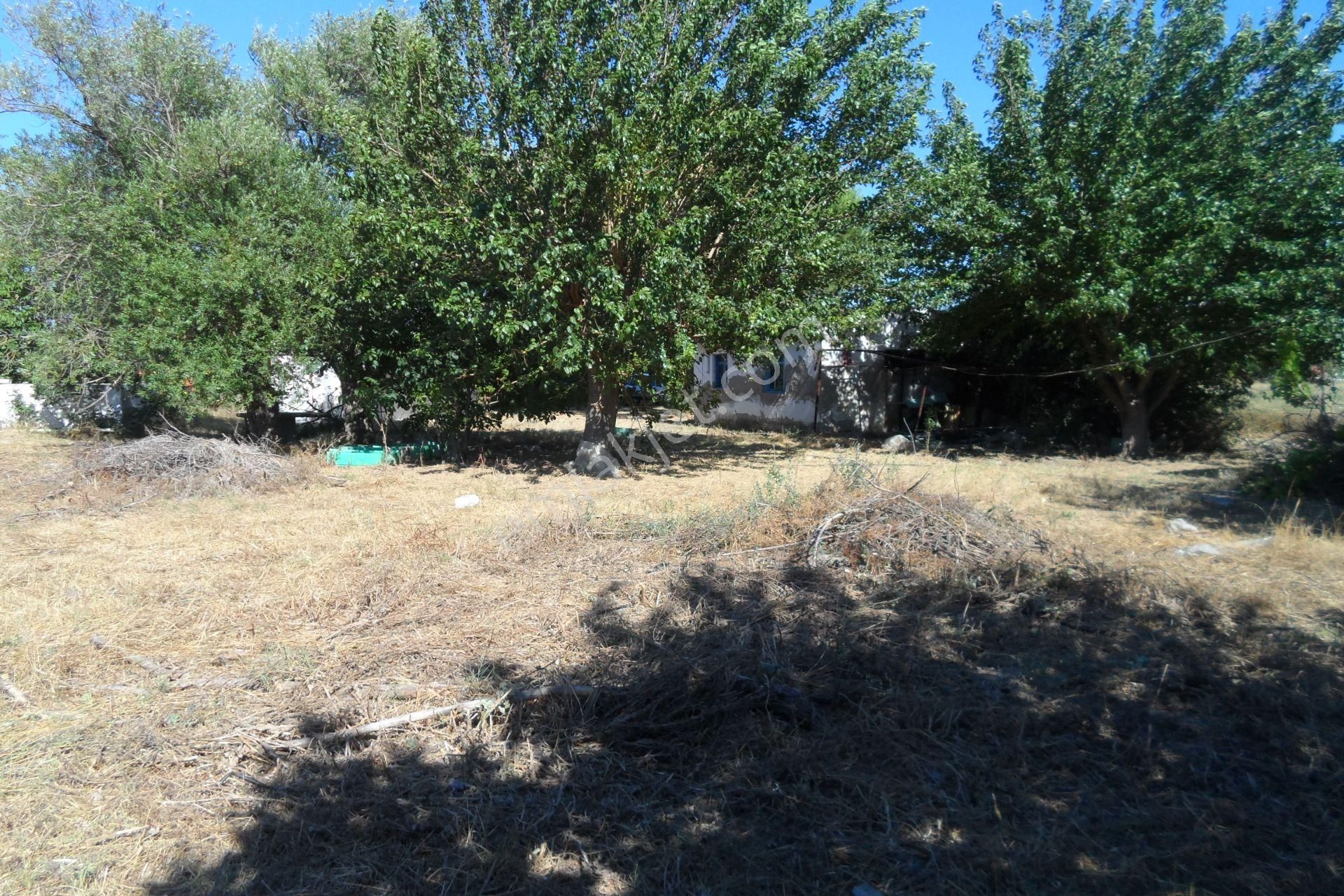 Egeturemlaktan Seferihisar Düzceden .12.600.dünüm Acilen Satılık Tarla - Görsel 19