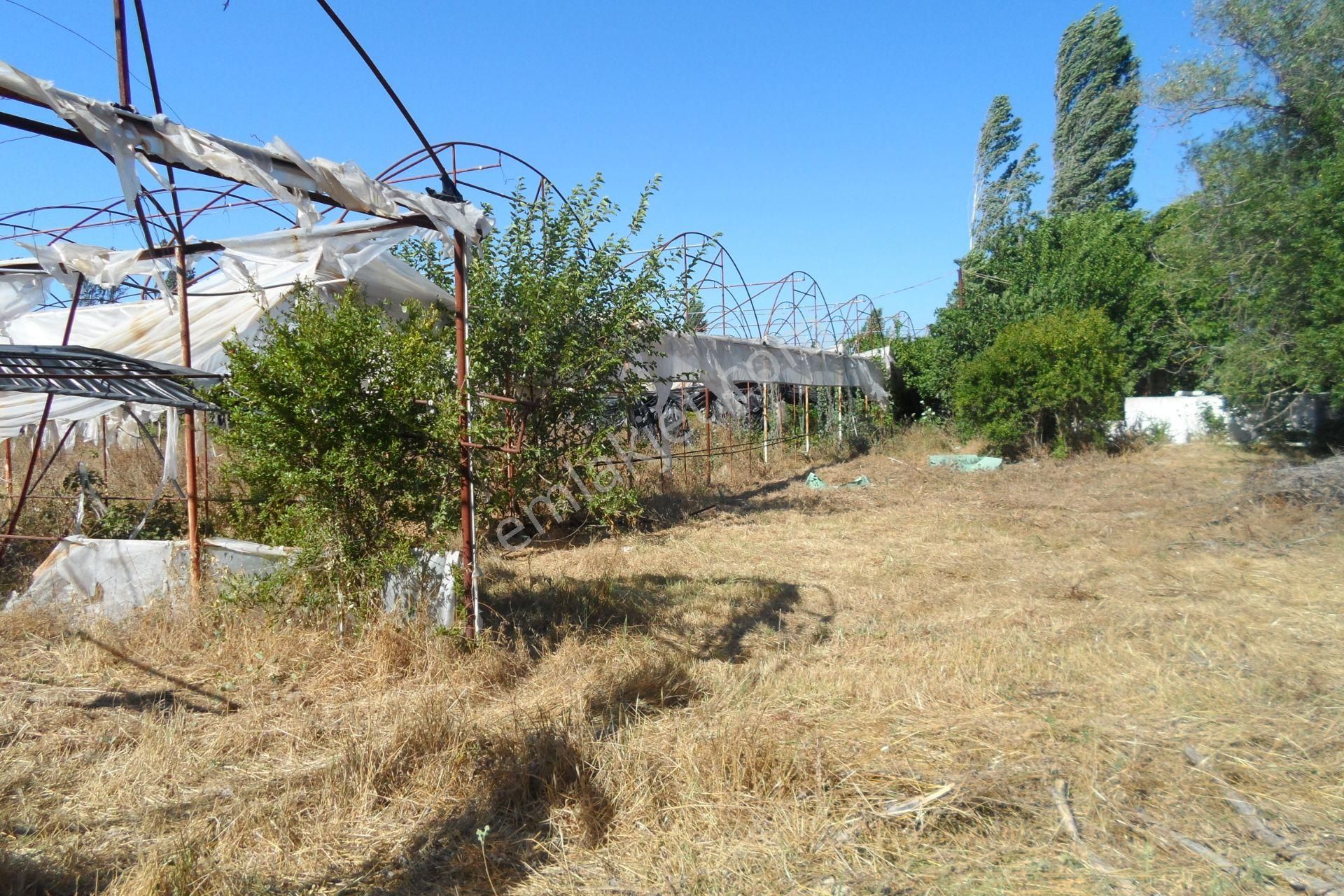 Egeturemlaktan Seferihisar Düzceden .12.600.dünüm Acilen Satılık Tarla - Görsel 15