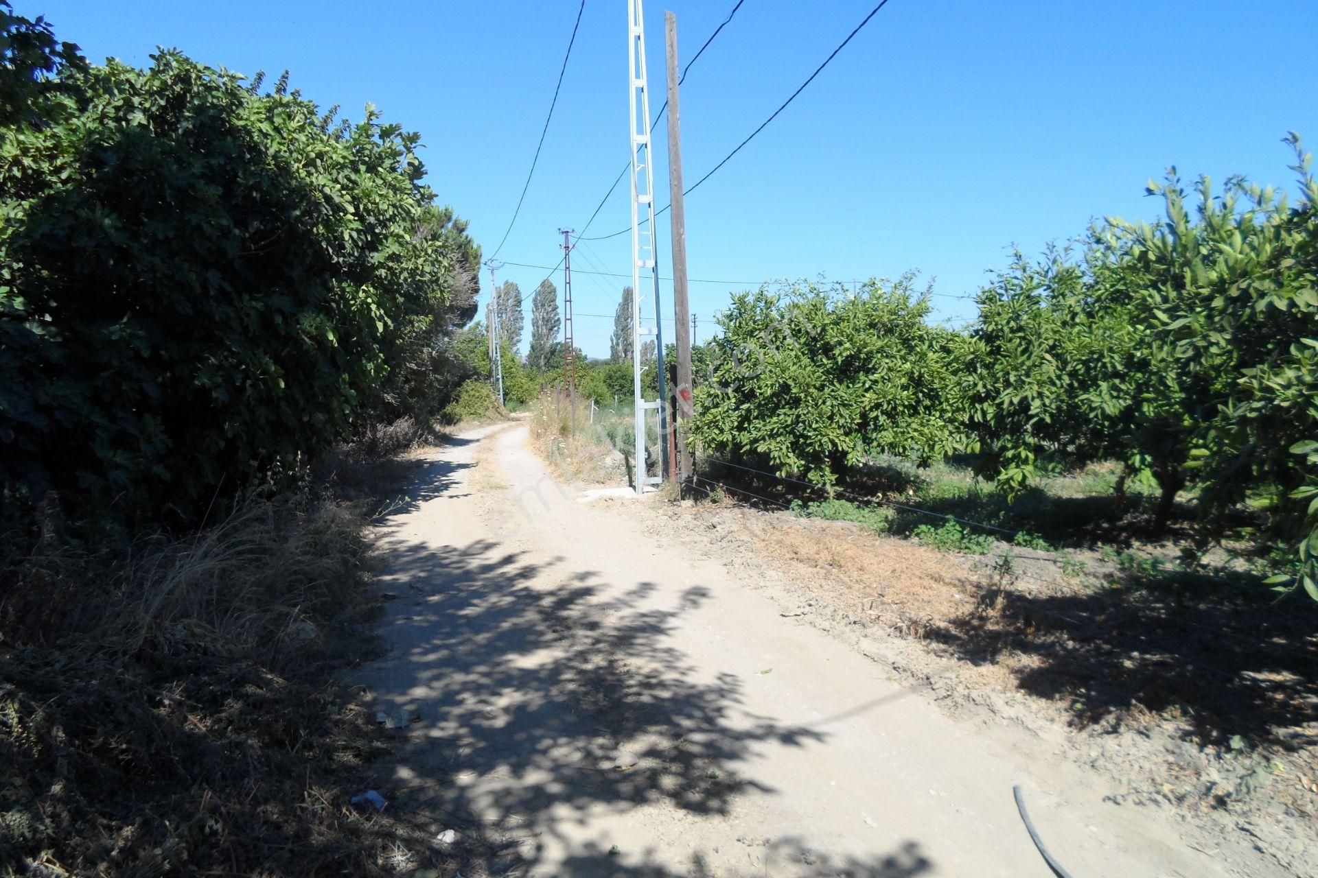 Egeturemlaktan Seferihisar Düzceden .12.600.dünüm Acilen Satılık Tarla - Görsel 17