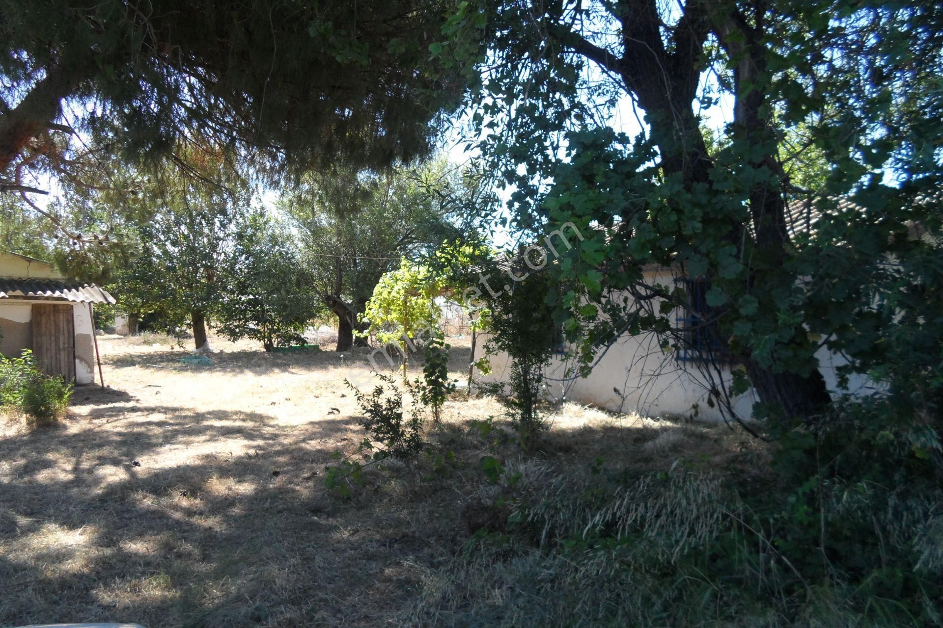 Egeturemlaktan Seferihisar Düzceden .12.600.dünüm Acilen Satılık Tarla - Görsel 11