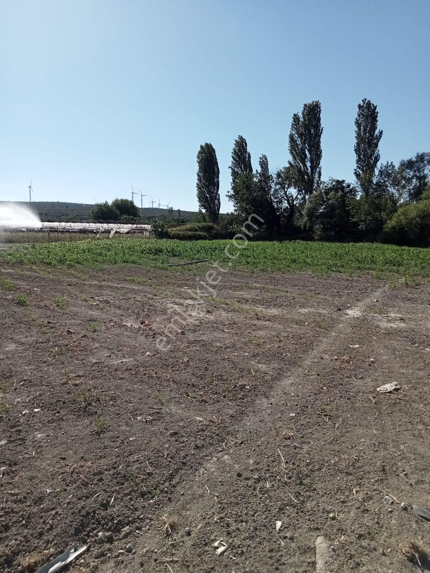 Egeturemlaktan Seferihisar Düzceden .12.600.dünüm Acilen Satılık Tarla - Görsel 23