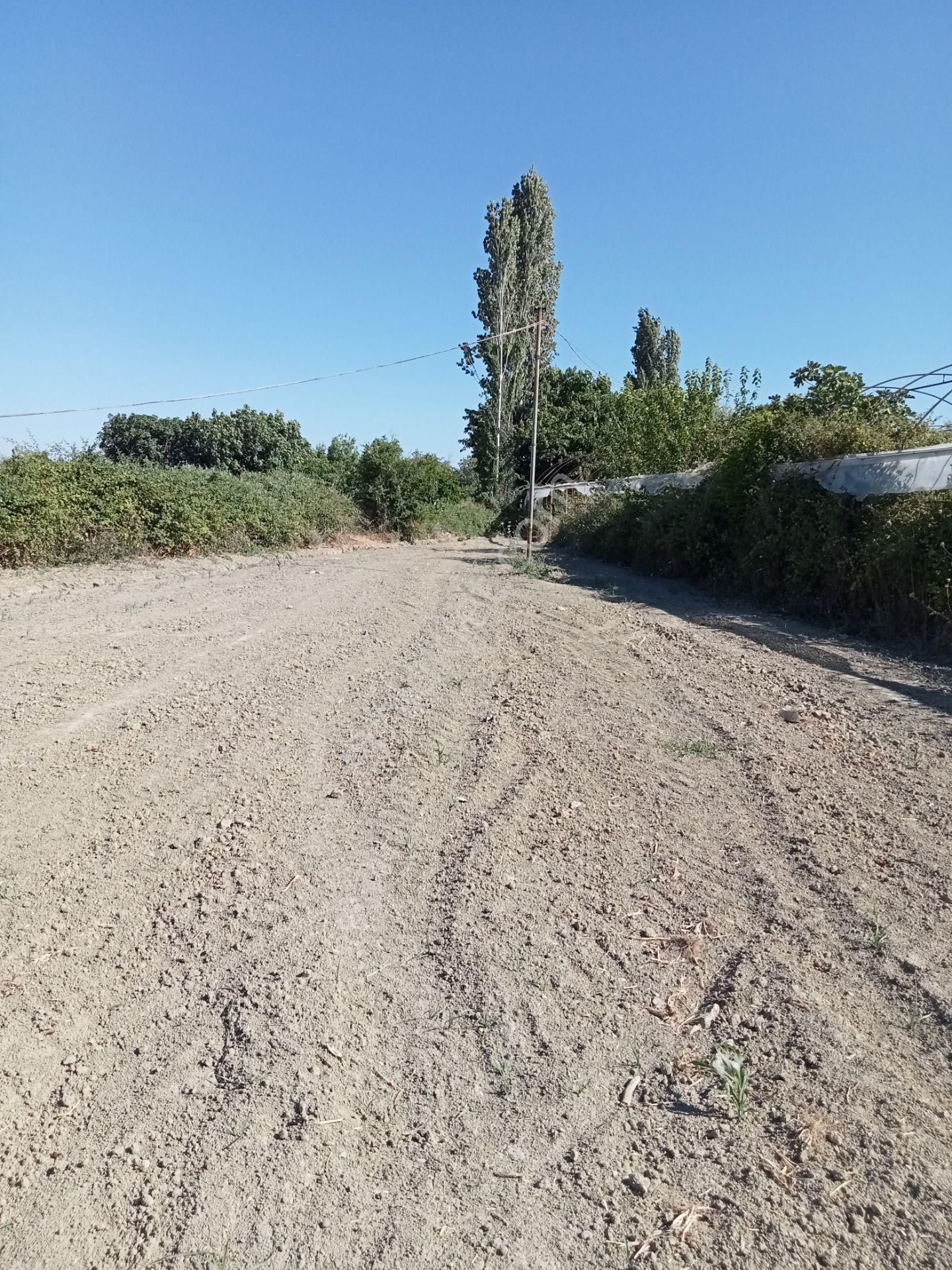 Egeturemlaktan Seferihisar Düzceden .12.600.dünüm Acilen Satılık Tarla - Görsel 14