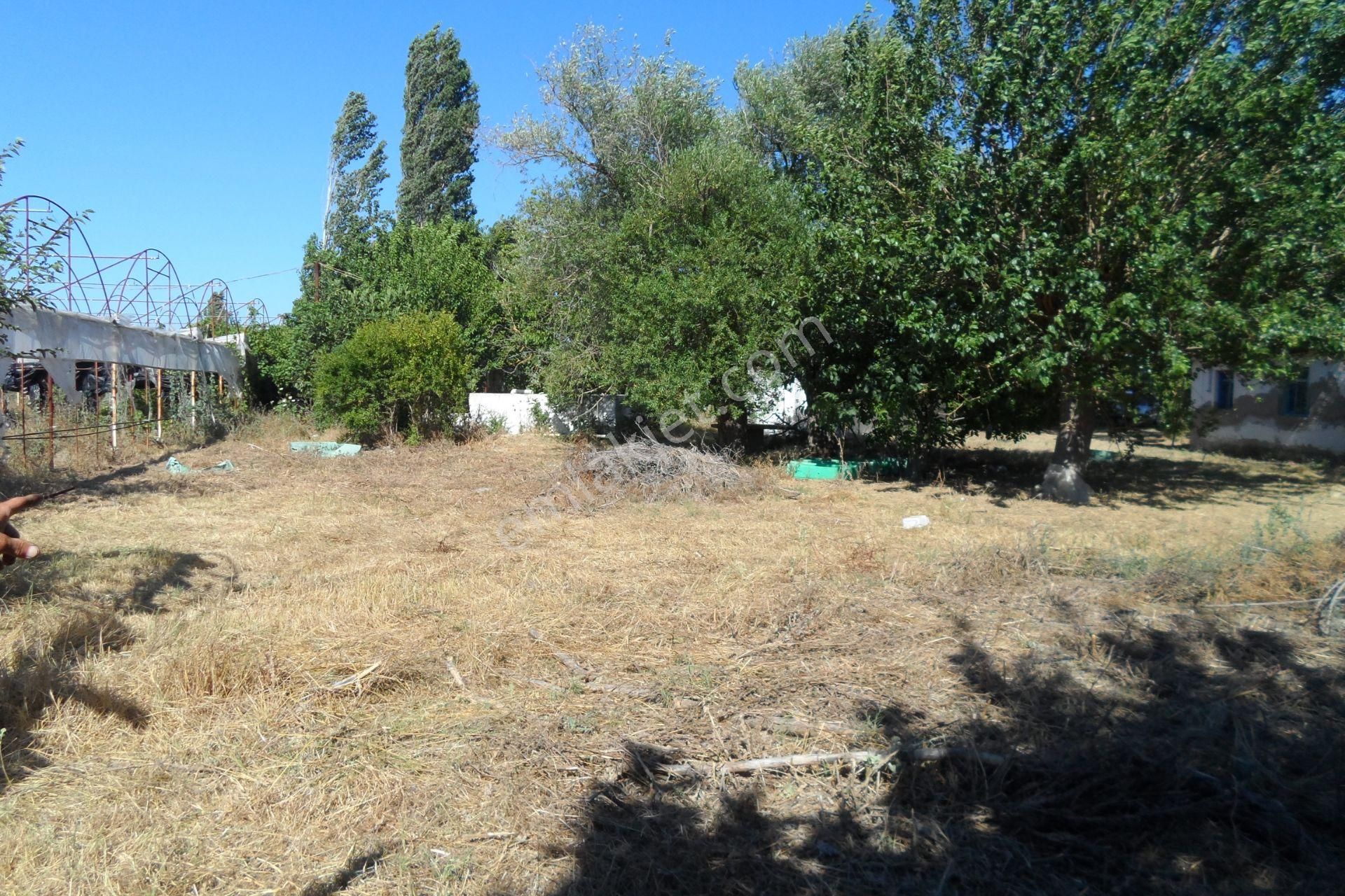 Egeturemlaktan Seferihisar Düzceden .12.600.dünüm Acilen Satılık Tarla - Görsel 8