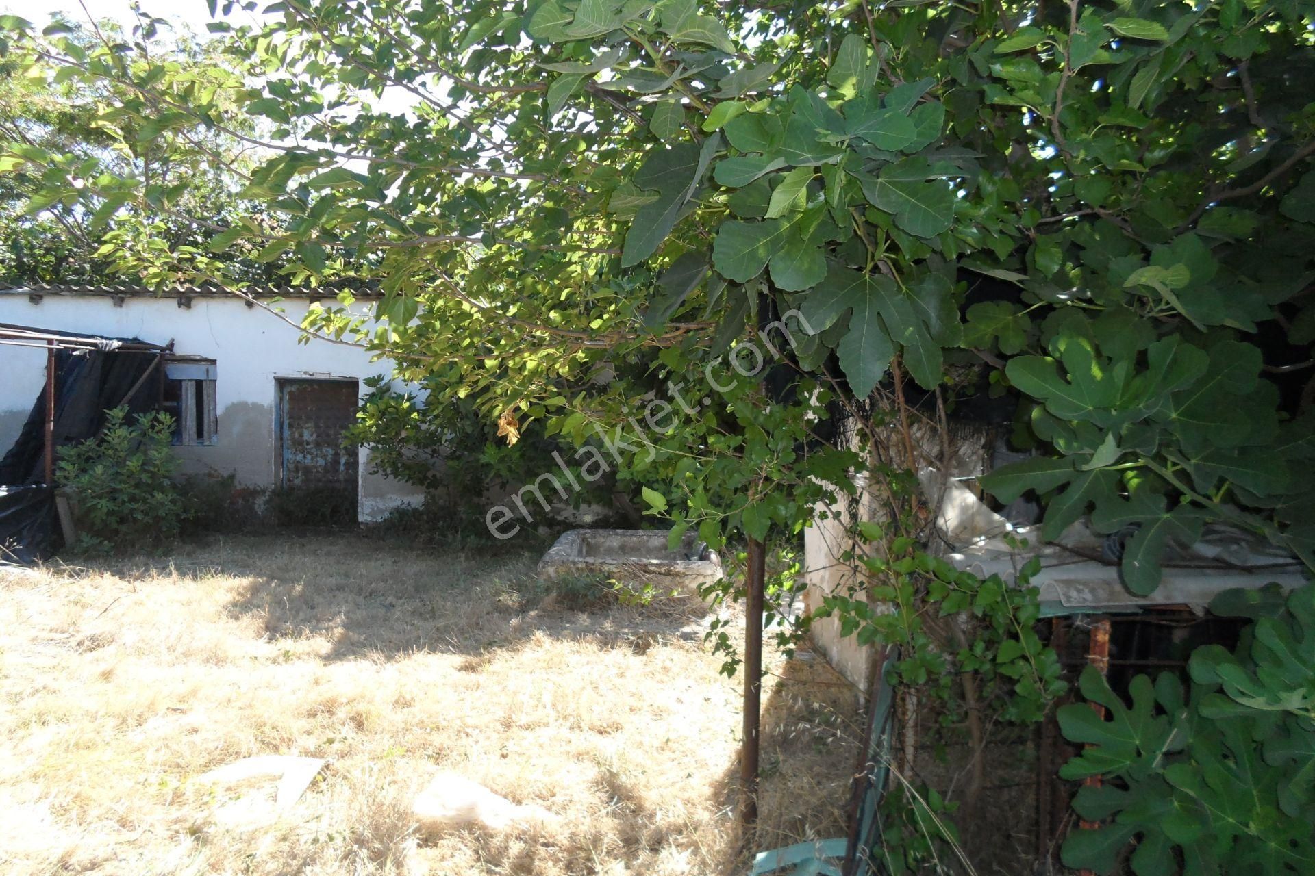 Egeturemlaktan Seferihisar Düzceden .12.600.dünüm Acilen Satılık Tarla - Görsel 5