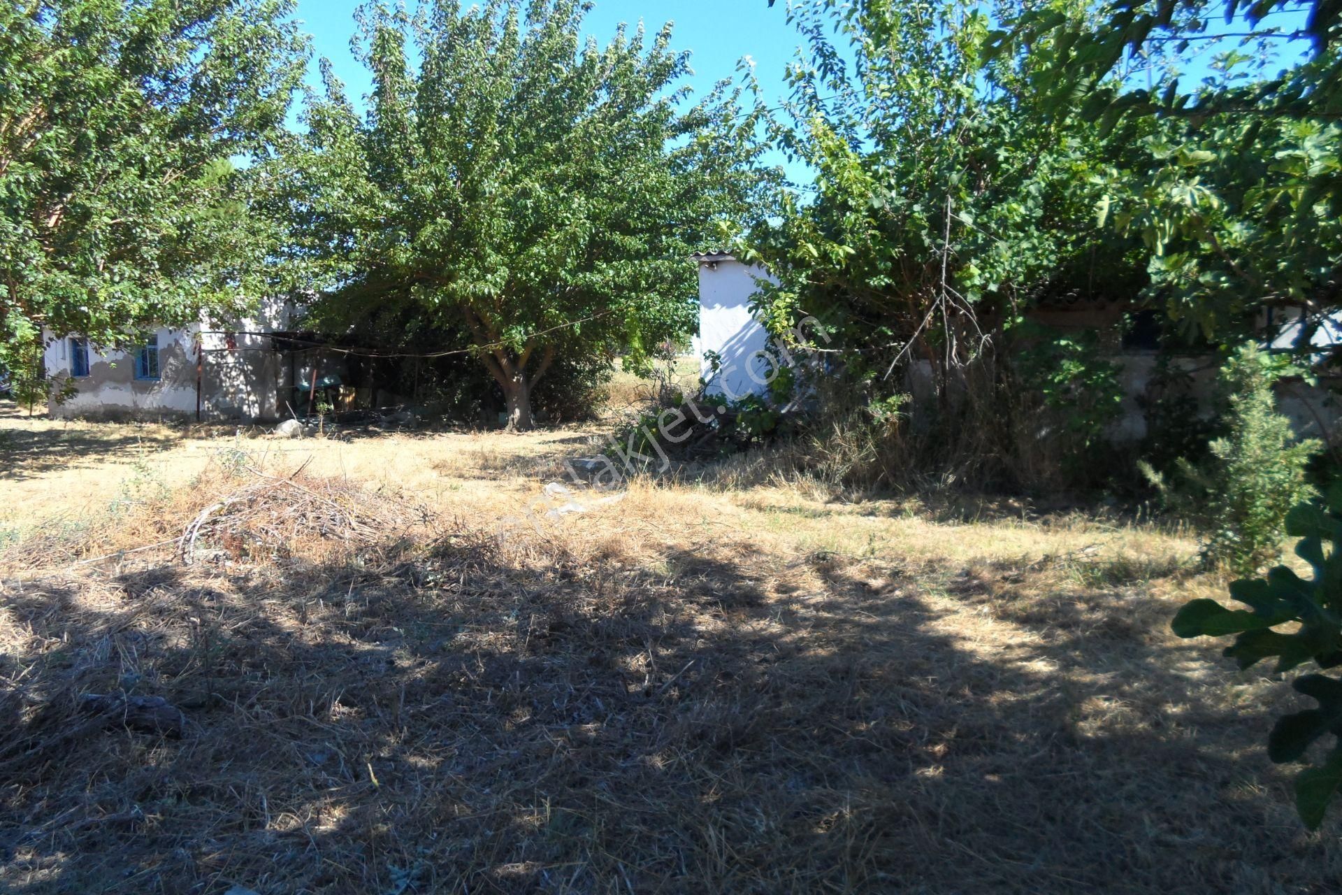 Egeturemlaktan Seferihisar Düzceden .12.600.dünüm Acilen Satılık Tarla - Görsel 4