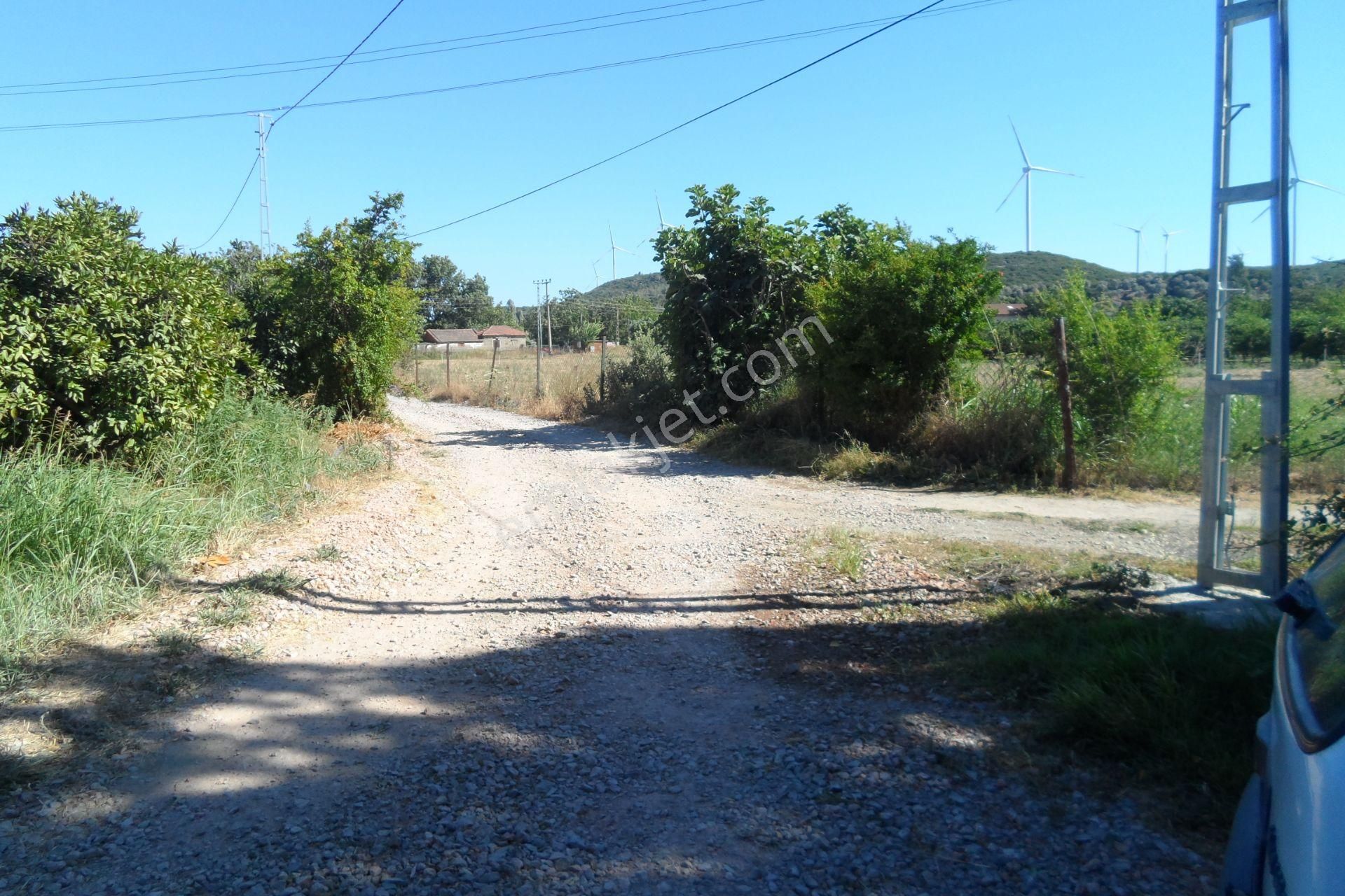 Egeturemlaktan Seferihisar Düzceden .12.600.dünüm Acilen Satılık Tarla - Görsel 9