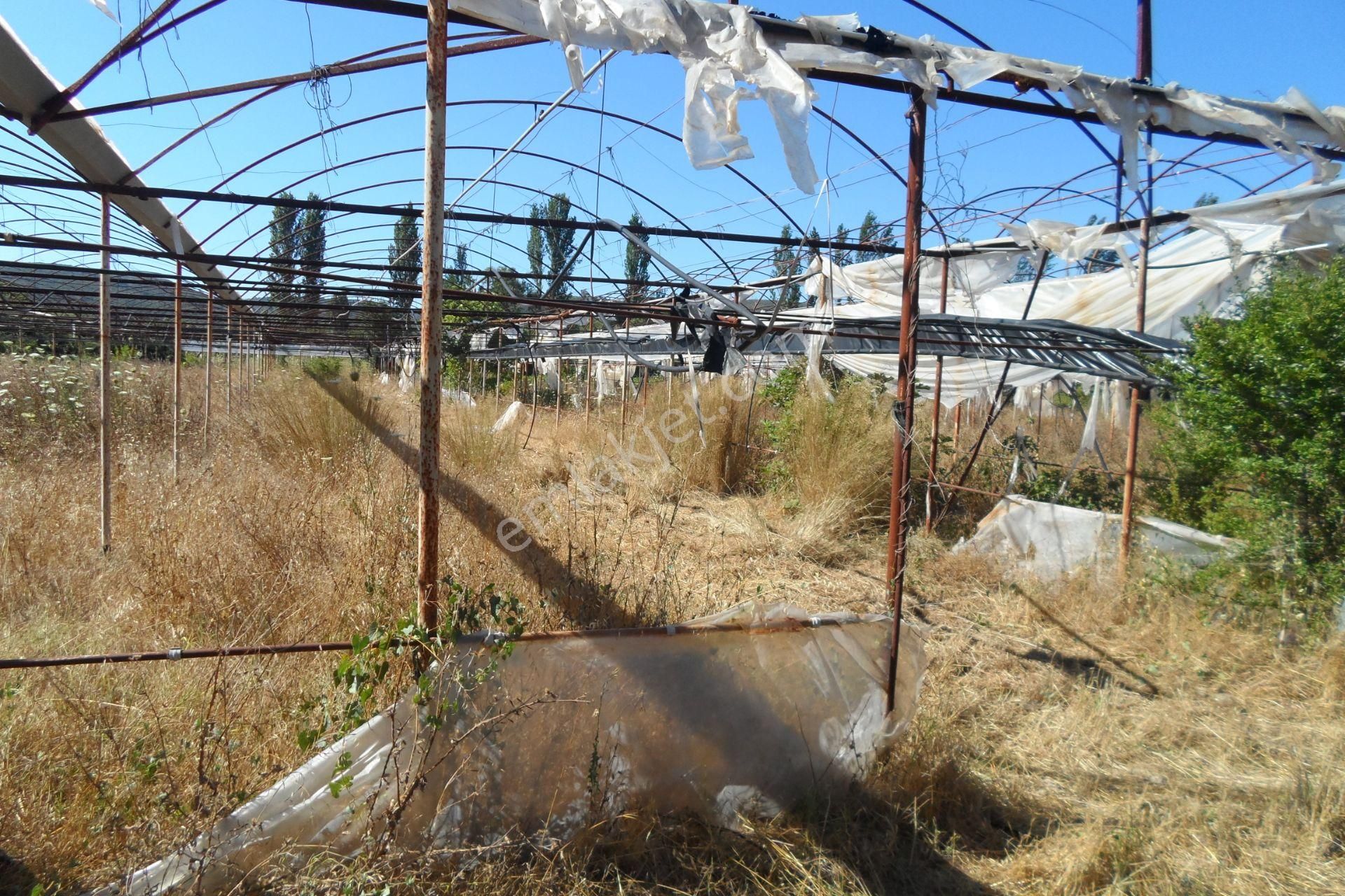 Egeturemlaktan Seferihisar Düzceden .12.600.dünüm Acilen Satılık Tarla - Görsel 12