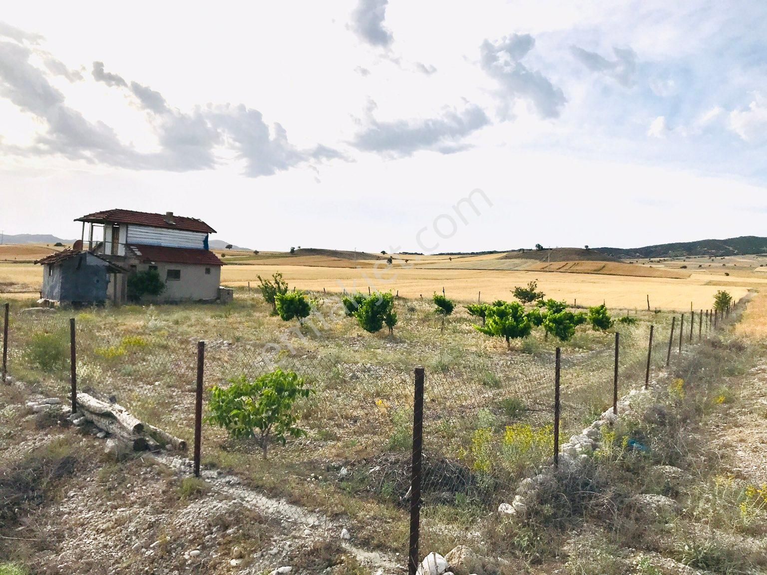 Burdur Merkez Kozluca Köyü (Saray) Satılık Tarla KOCA ARAZİ BU FİYATA