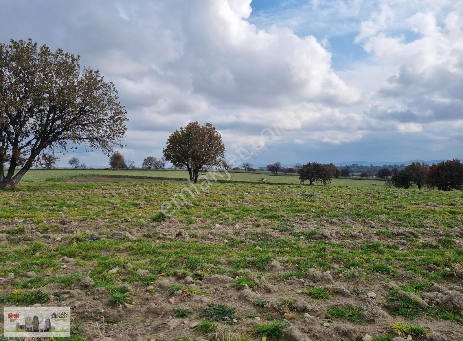 Çanakkale Han Emlak Otomotivden Tevfikiye Köyünde 6572 M2 Tarla - Görsel 3