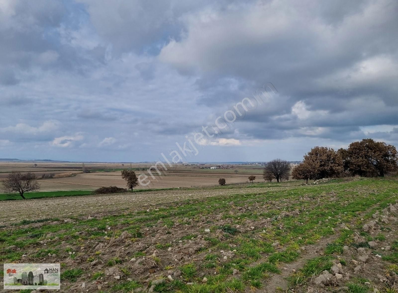 Çanakkale Han Emlak Otomotivden Tevfikiye Köyünde 6572 M2 Tarla - Görsel 12