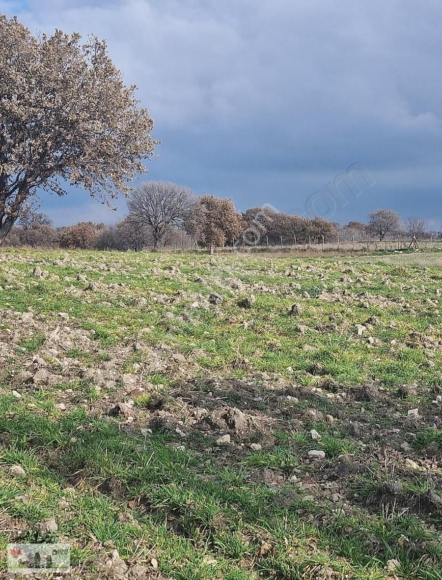 Çanakkale Han Emlak Otomotivden Tevfikiye Köyünde 6572 M2 Tarla - Görsel 9