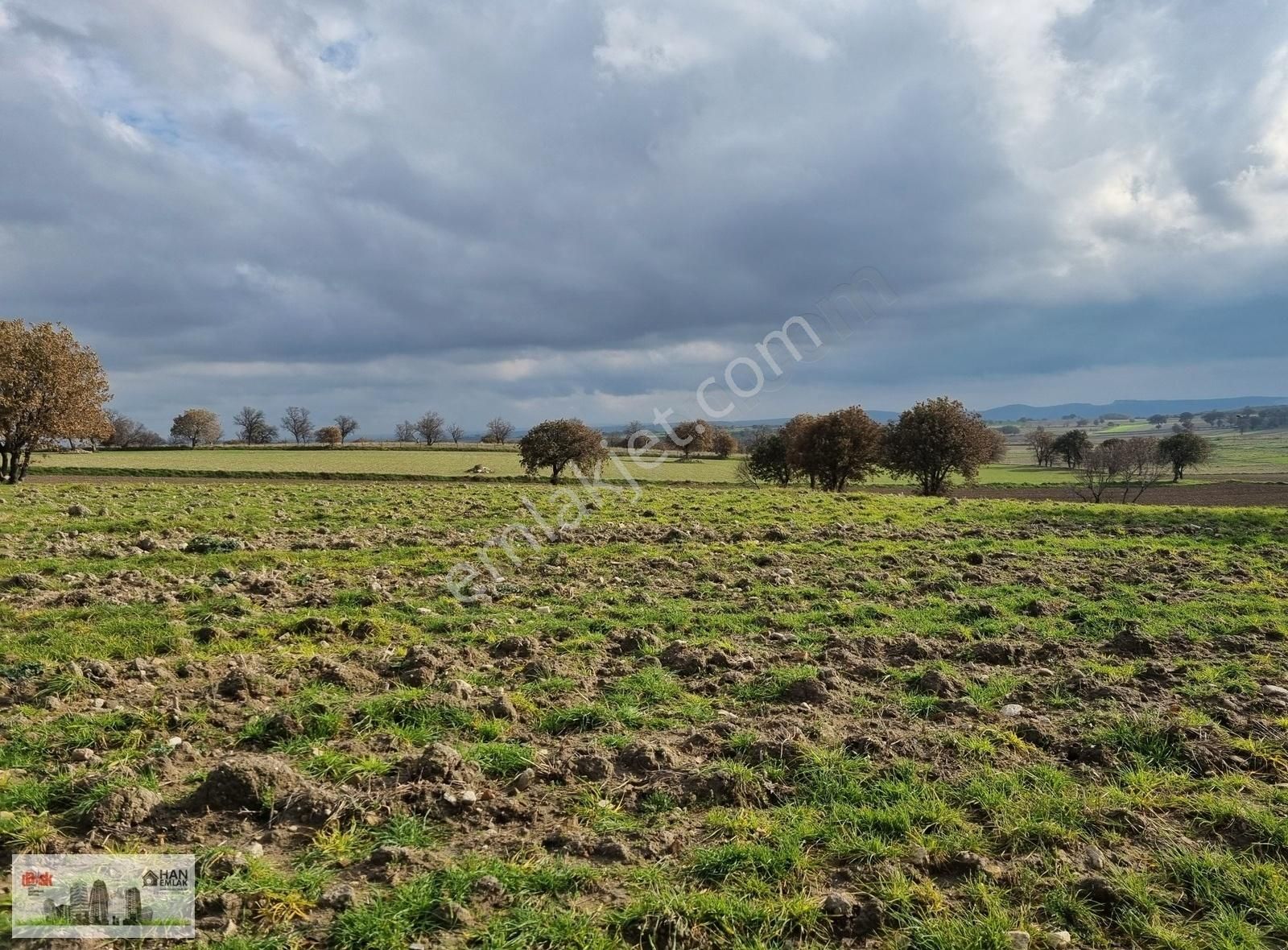 Çanakkale Han Emlak Otomotivden Tevfikiye Köyünde 6572 M2 Tarla - Görsel 35