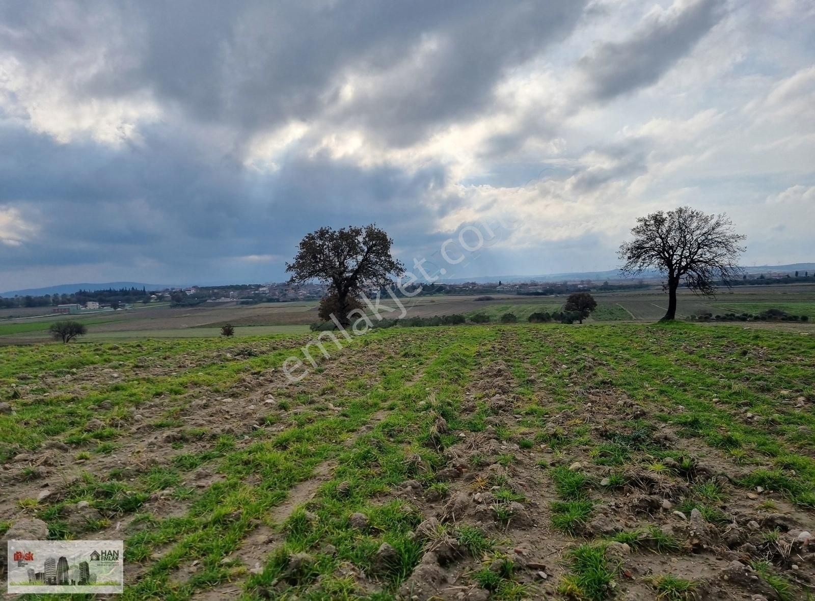 Çanakkale Han Emlak Otomotivden Tevfikiye Köyünde 6572 M2 Tarla - Görsel 23