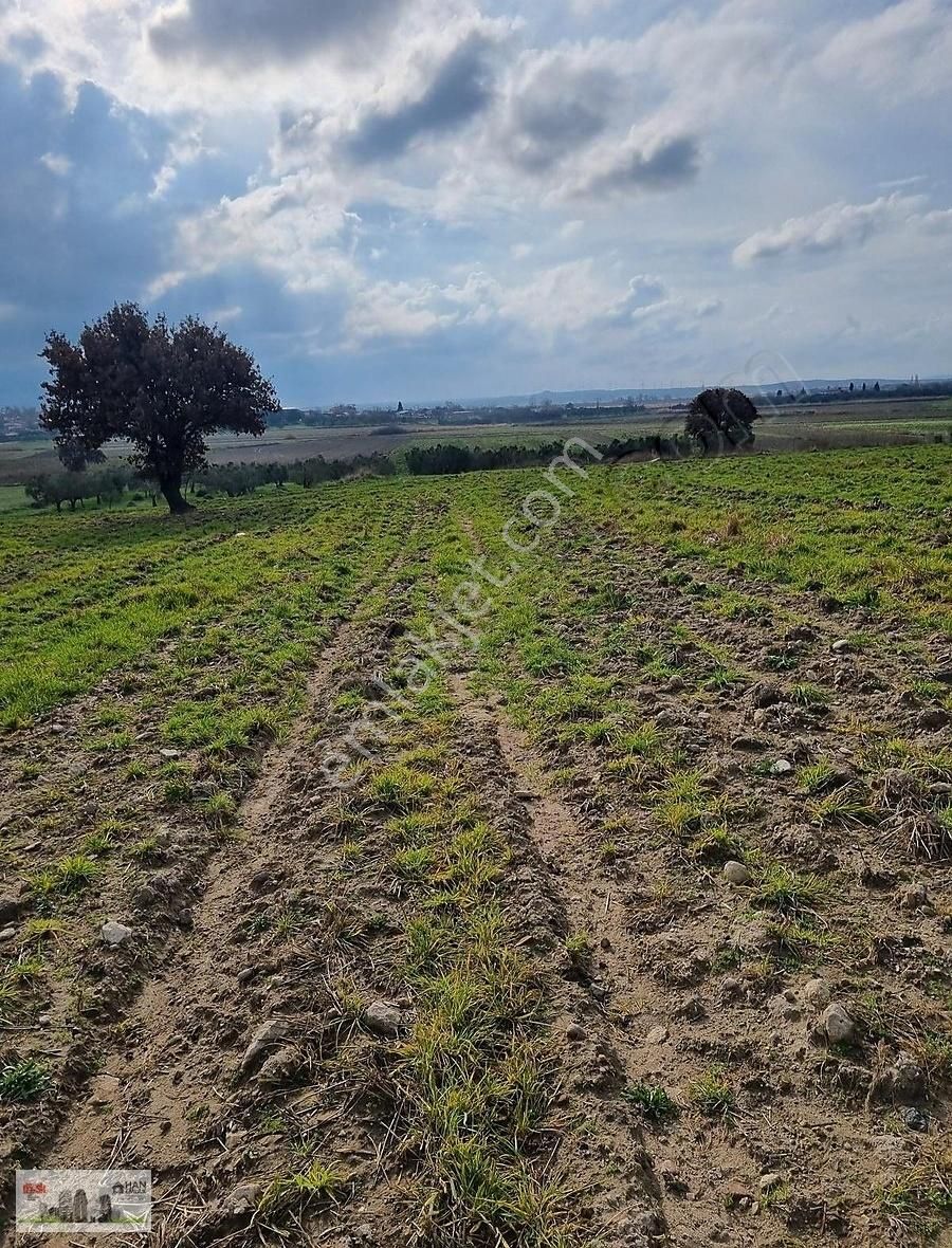 Çanakkale Han Emlak Otomotivden Tevfikiye Köyünde 6572 M2 Tarla - Görsel 10