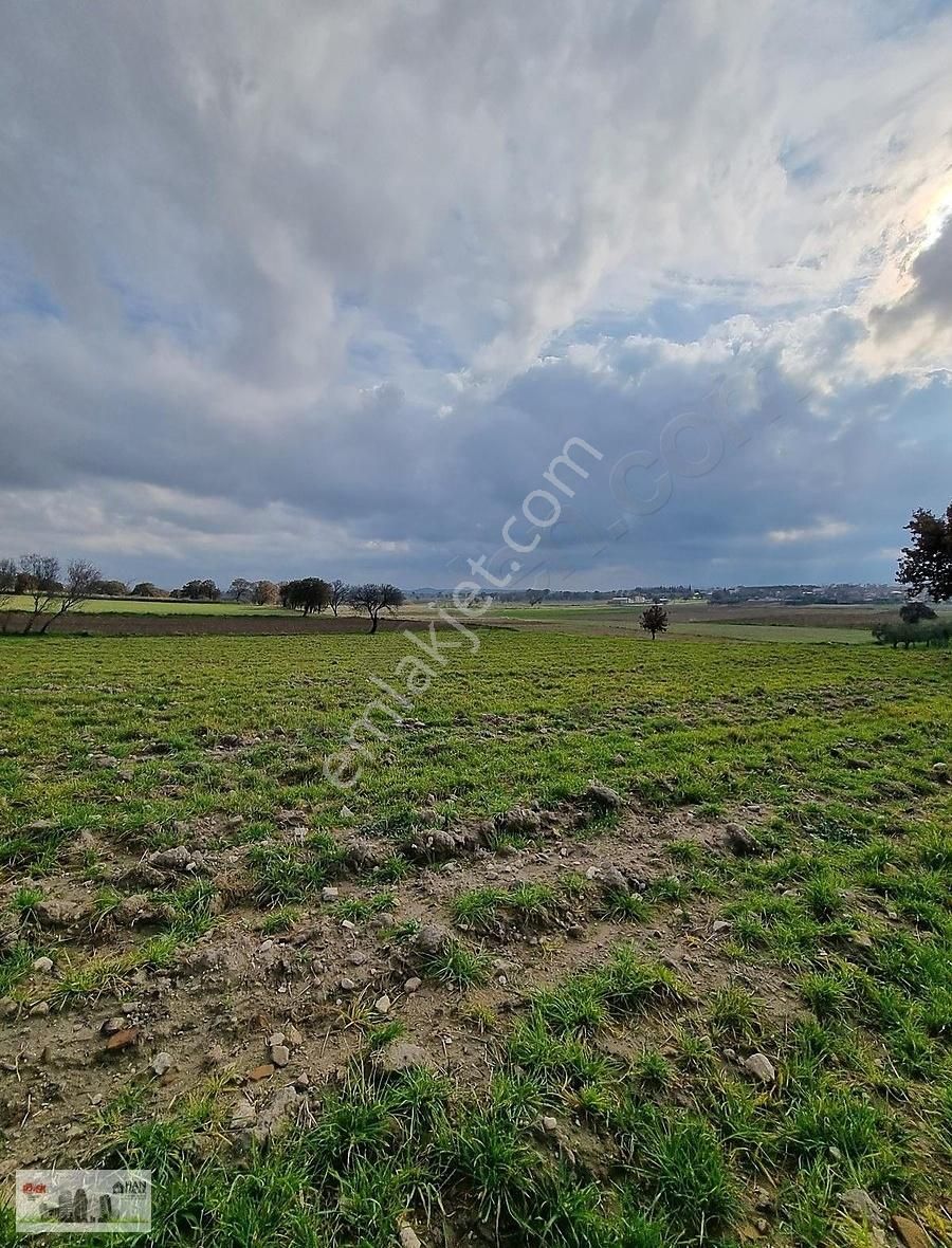 Çanakkale Han Emlak Otomotivden Tevfikiye Köyünde 6572 M2 Tarla - Görsel 21