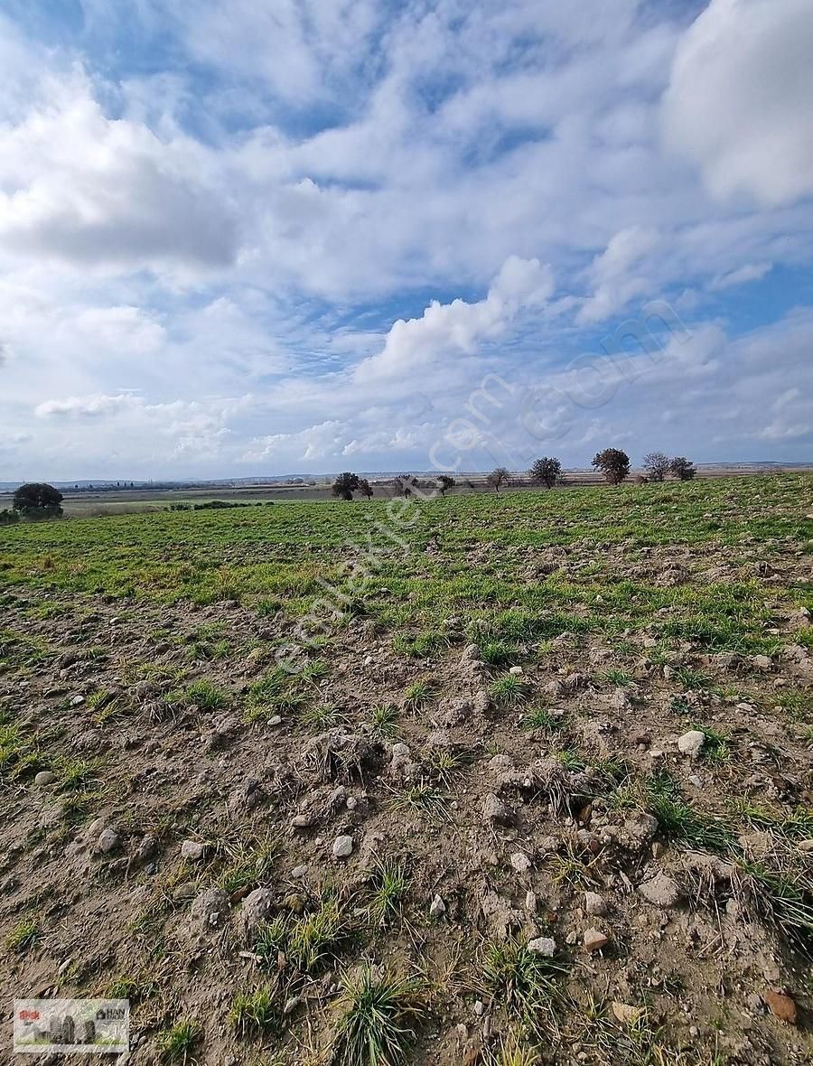 Çanakkale Han Emlak Otomotivden Tevfikiye Köyünde 6572 M2 Tarla - Görsel 5