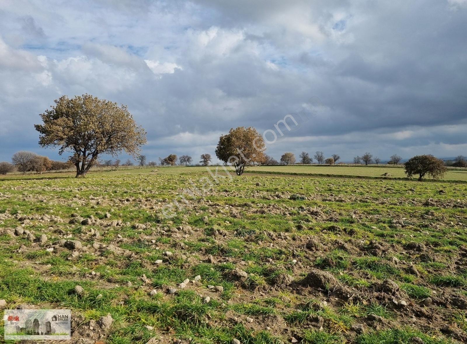 Çanakkale Han Emlak Otomotivden Tevfikiye Köyünde 6572 M2 Tarla - Görsel 8
