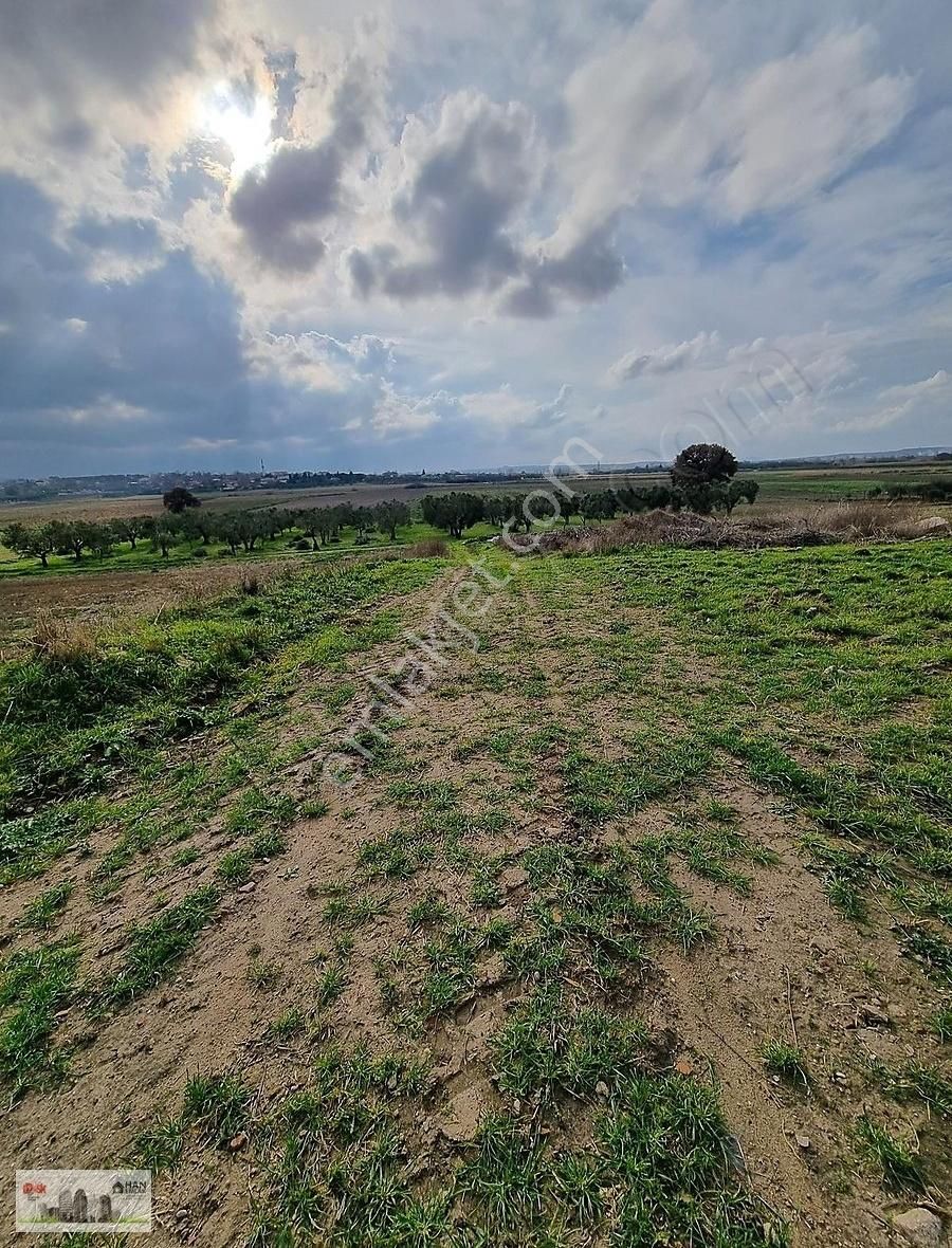 Çanakkale Han Emlak Otomotivden Tevfikiye Köyünde 6572 M2 Tarla - Görsel 14