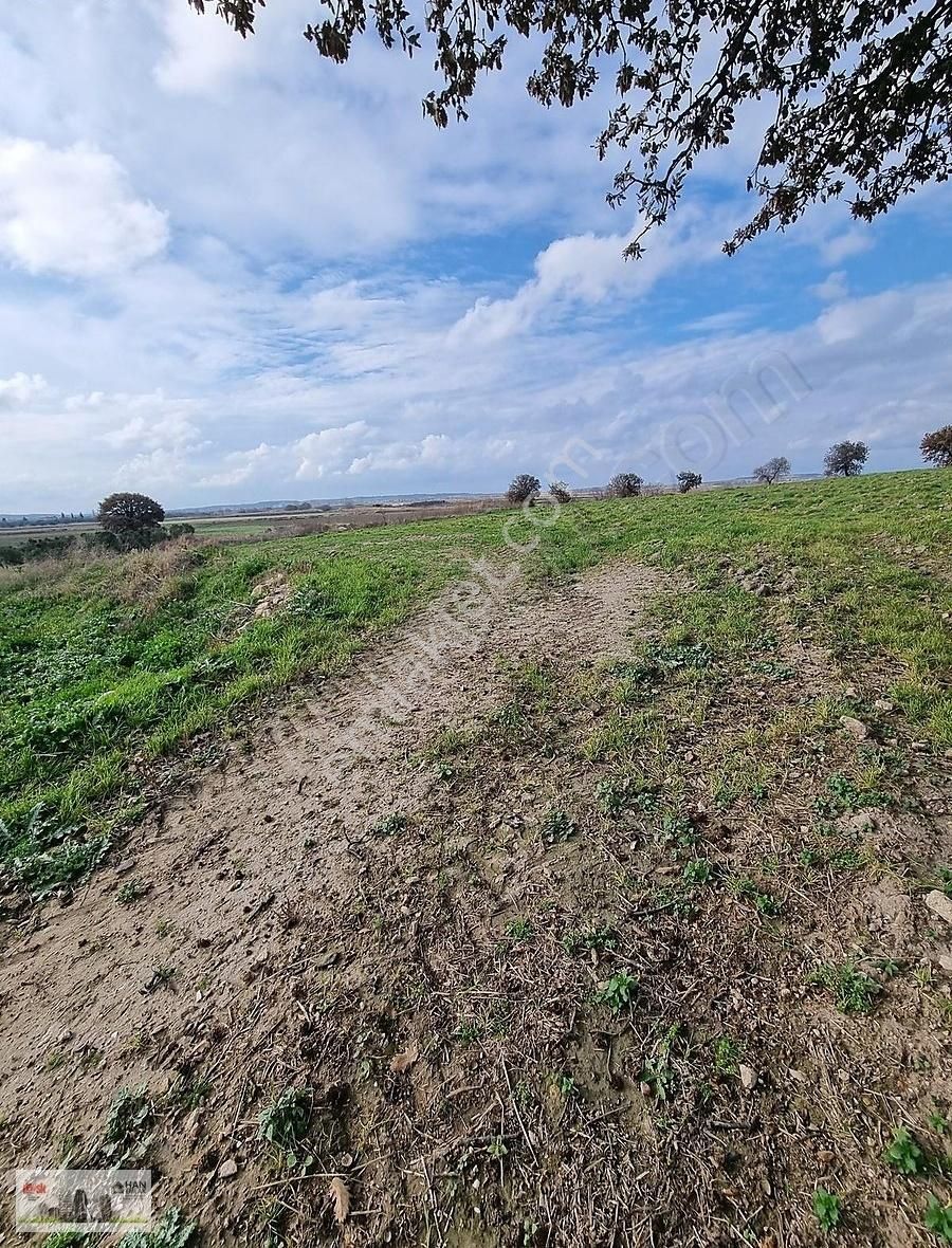 Çanakkale Han Emlak Otomotivden Tevfikiye Köyünde 6572 M2 Tarla - Görsel 19