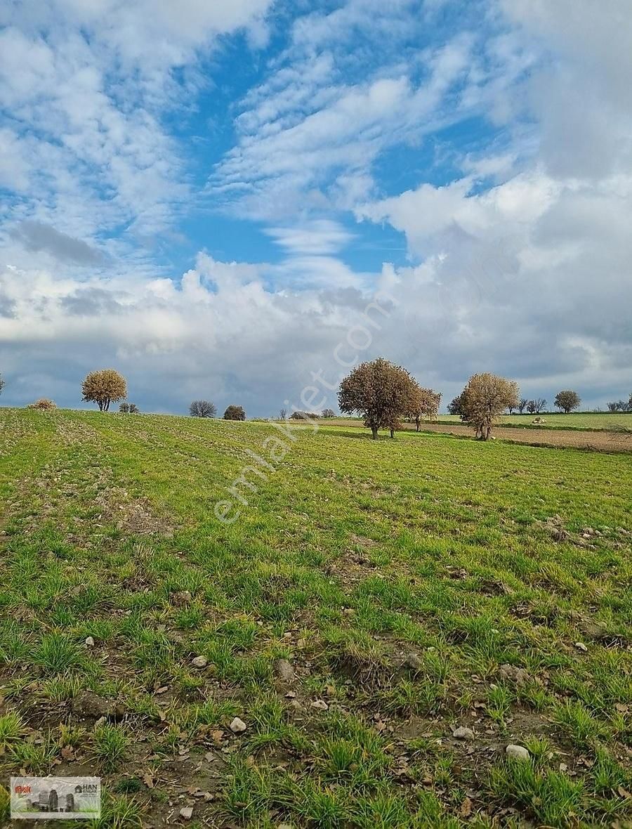Çanakkale Han Emlak Otomotivden Tevfikiye Köyünde 6572 M2 Tarla - Görsel 4