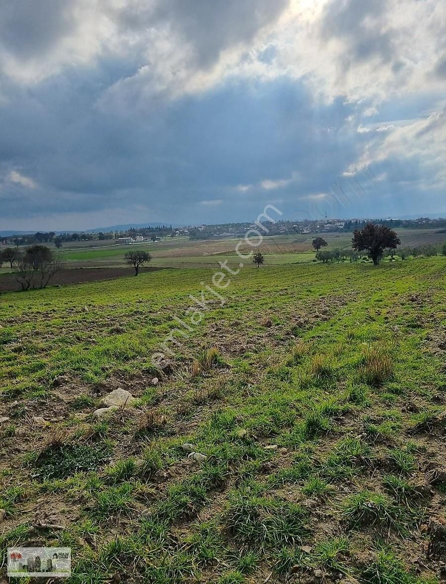 Çanakkale Han Emlak Otomotivden Tevfikiye Köyünde 6572 M2 Tarla - Görsel 18