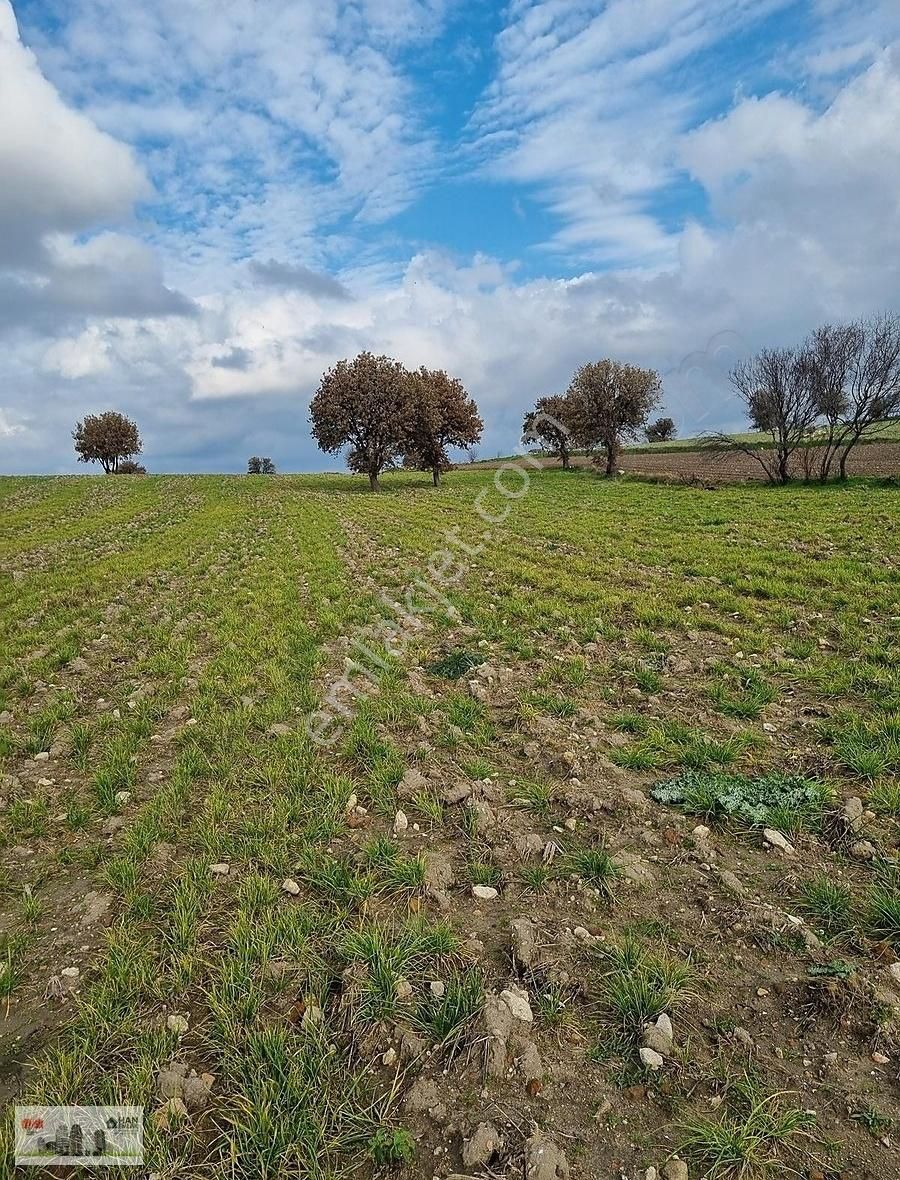 Çanakkale Han Emlak Otomotivden Tevfikiye Köyünde 6572 M2 Tarla - Görsel 11