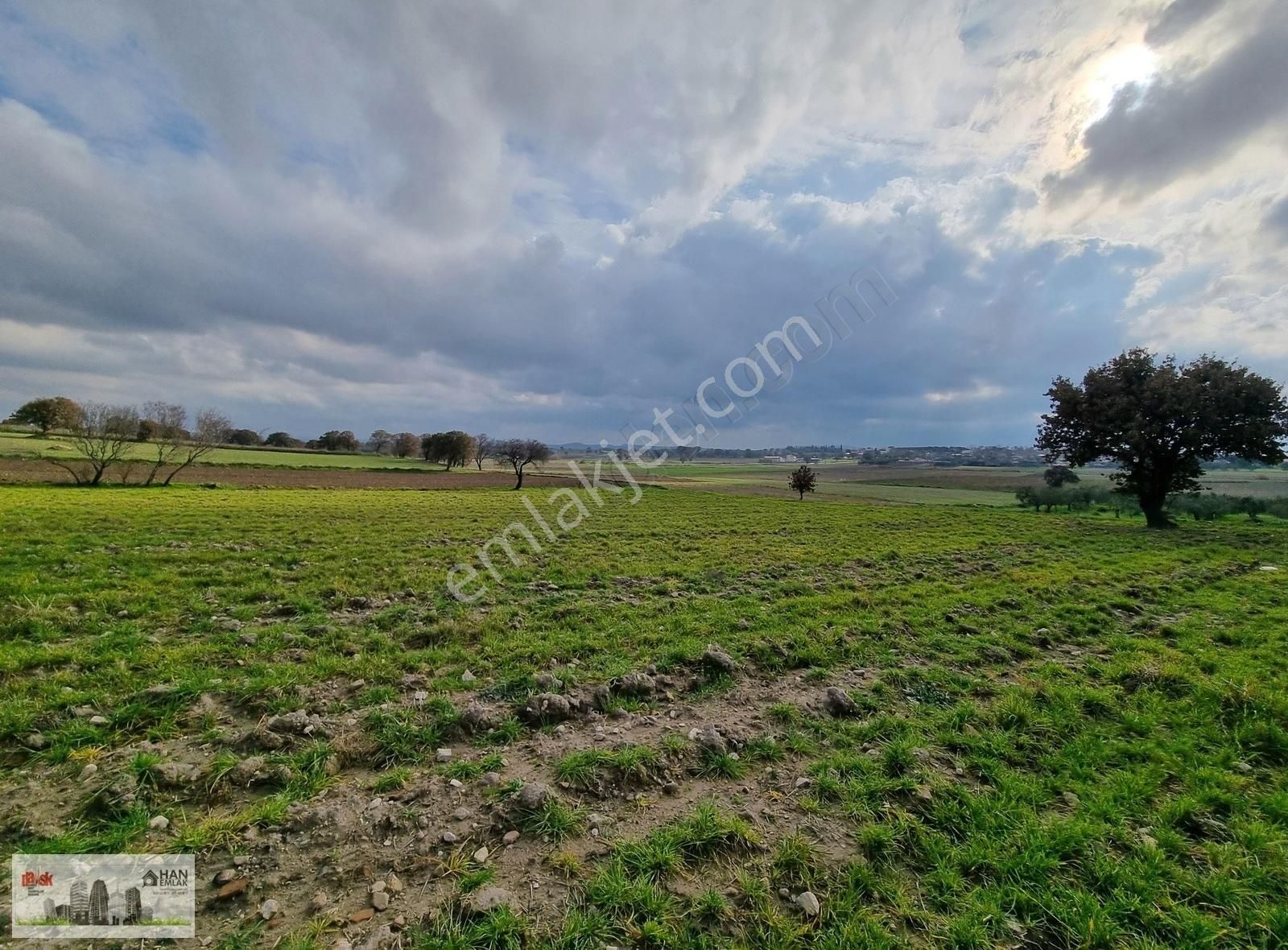 Çanakkale Han Emlak Otomotivden Tevfikiye Köyünde 6572 M2 Tarla - Görsel 2