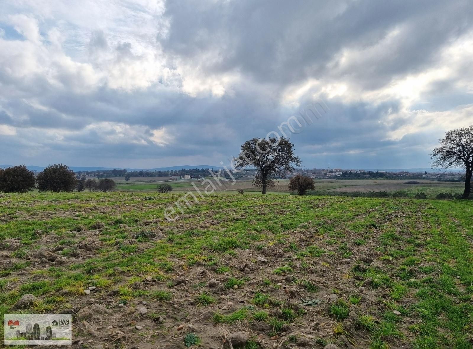 Çanakkale Han Emlak Otomotivden Tevfikiye Köyünde 6572 M2 Tarla - Görsel 24