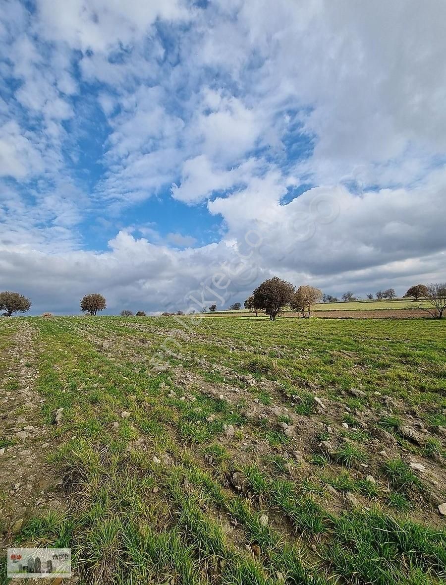 Çanakkale Han Emlak Otomotivden Tevfikiye Köyünde 6572 M2 Tarla - Görsel 32