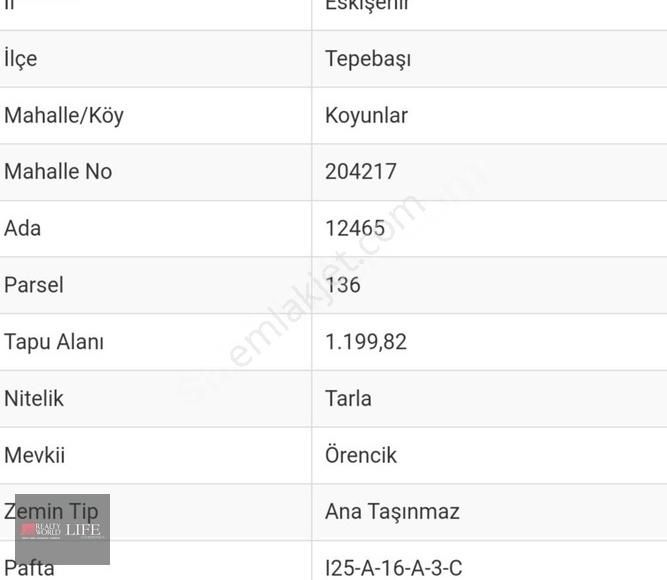 Tepebaşı Muttalip Koyunlar Satılık Tarla RW LIFE/ MUTTALİP KOYUNLAR MAHALLESİNDE GELECEĞİ PARLAK TARLA