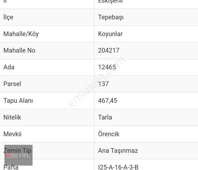 Tepebaşı Muttalip Koyunlar Satılık Tarla RW LIFE/ KOYUNLAR MAHALLESİNDE YATIRIMLIK SATILIK TARLA