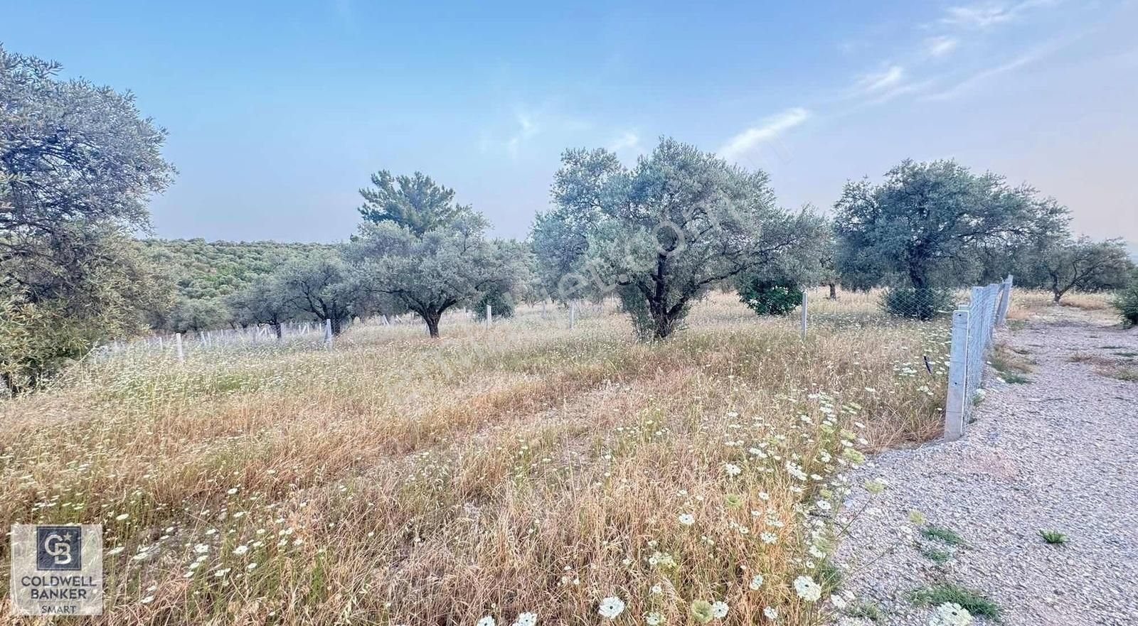 Torbalı Yazıbaşı Satılık Tarla Torbalı Yazıbaşı'n da arsa