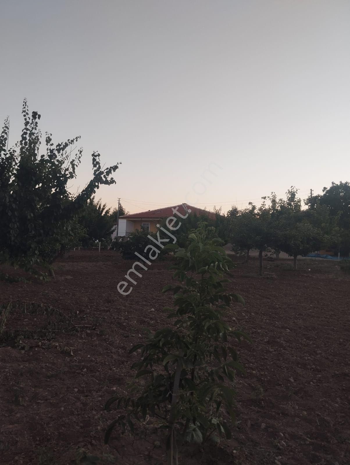 Kırıkkale Hacılarda Satılık Bahçeler - Görsel 21