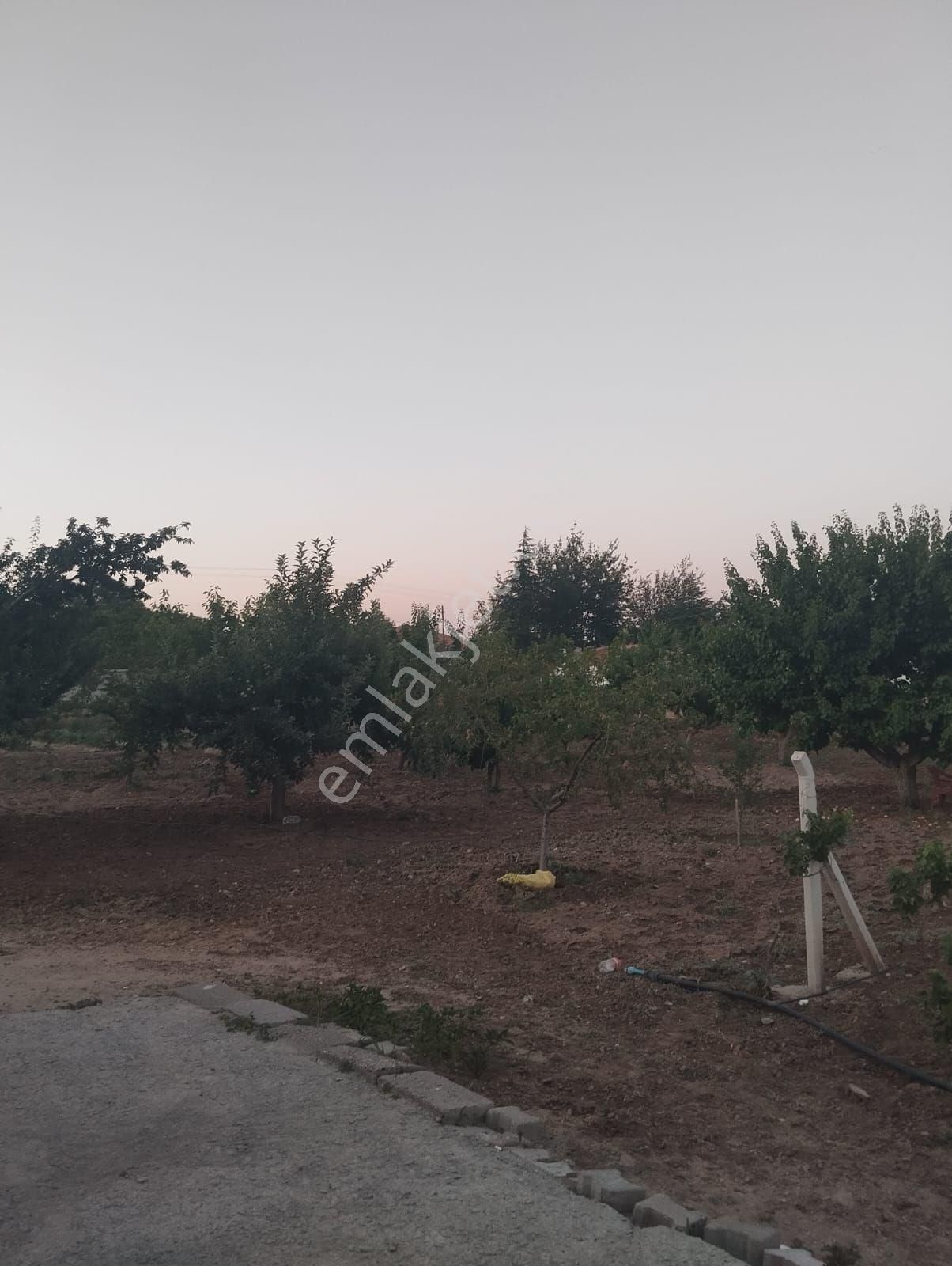 Kırıkkale Hacılarda Satılık Bahçeler - Görsel 26