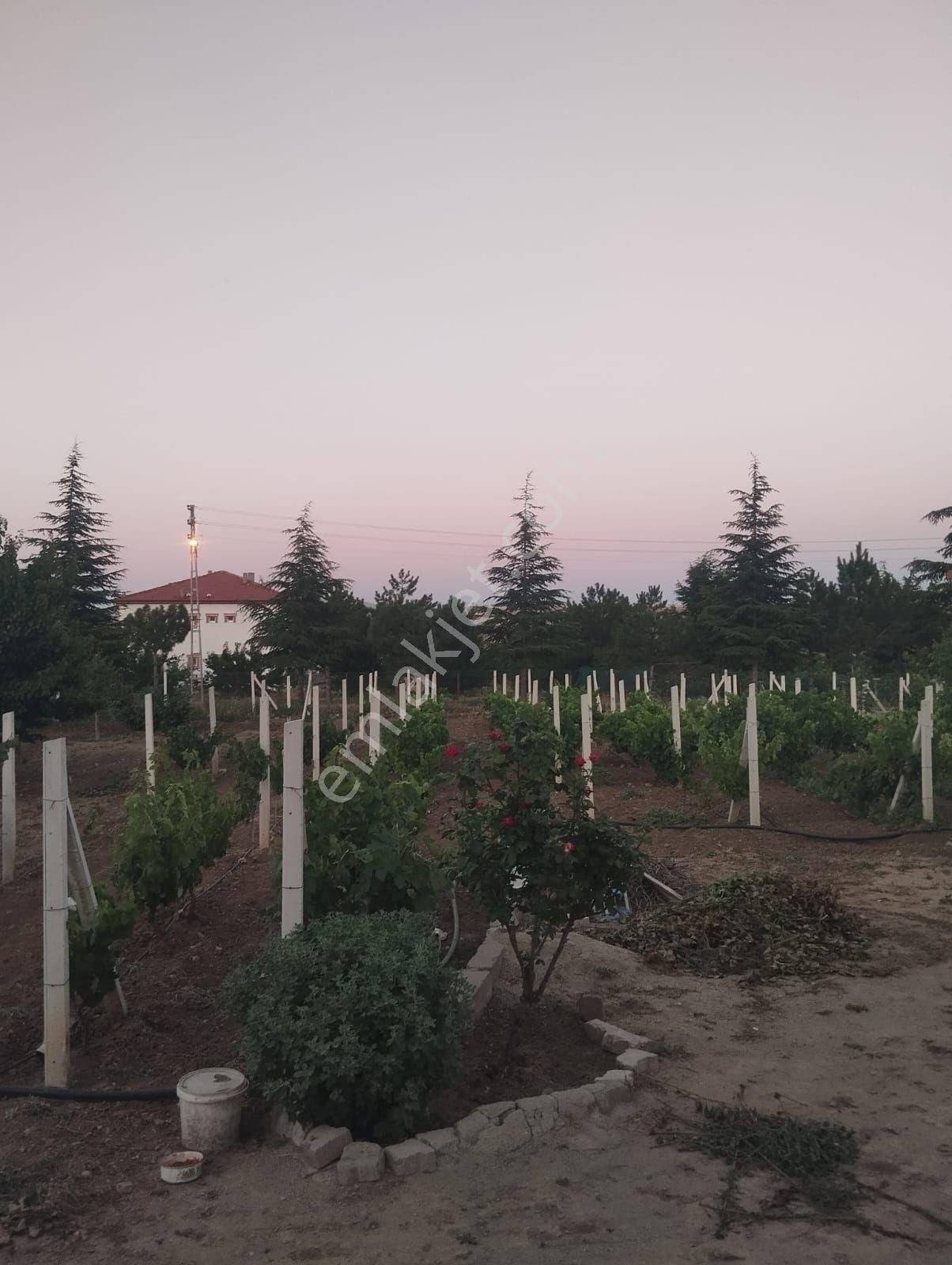 Kırıkkale Hacılarda Satılık Bahçeler - Görsel 25