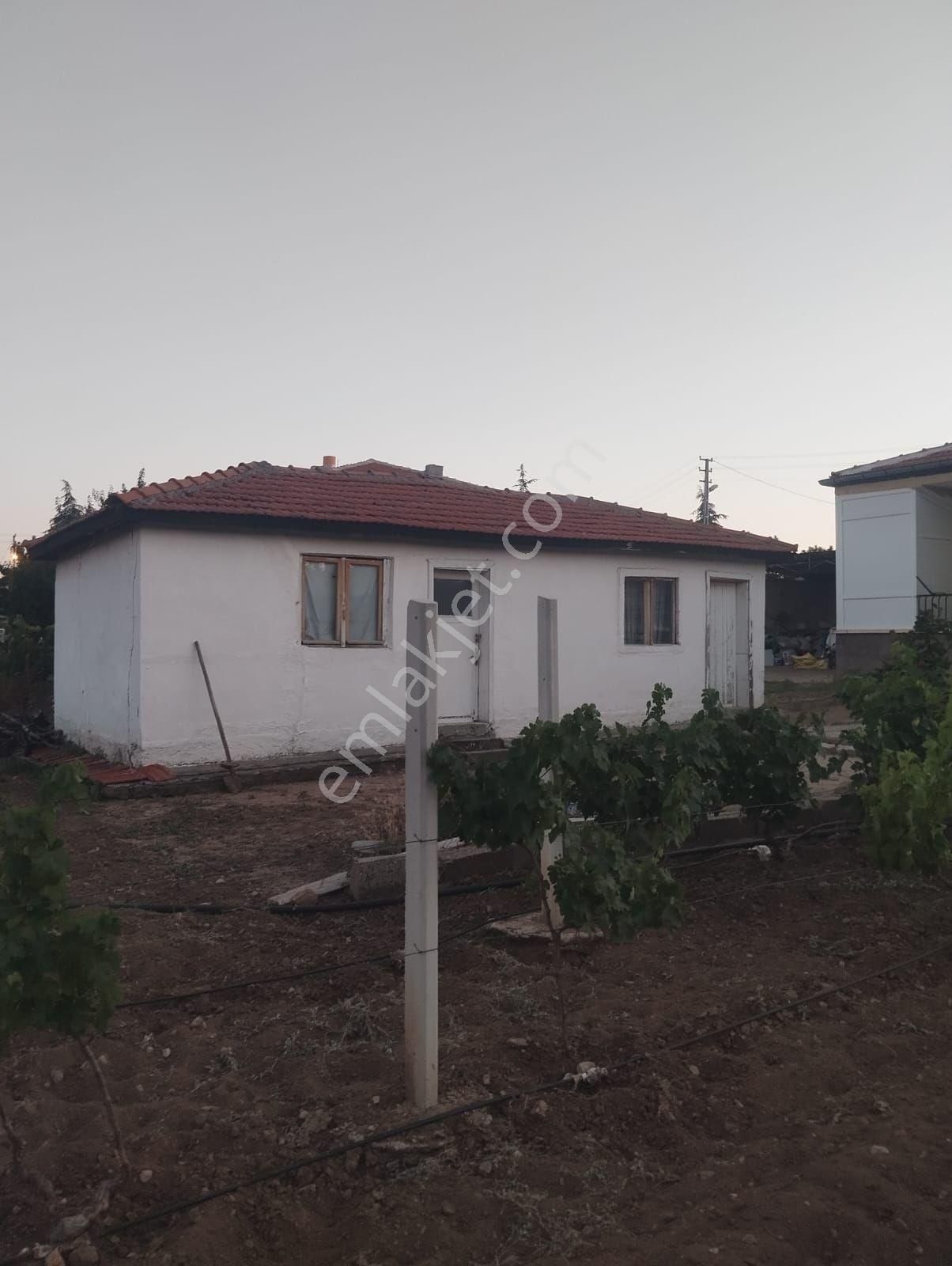 Kırıkkale Hacılarda Satılık Bahçeler - Görsel 24