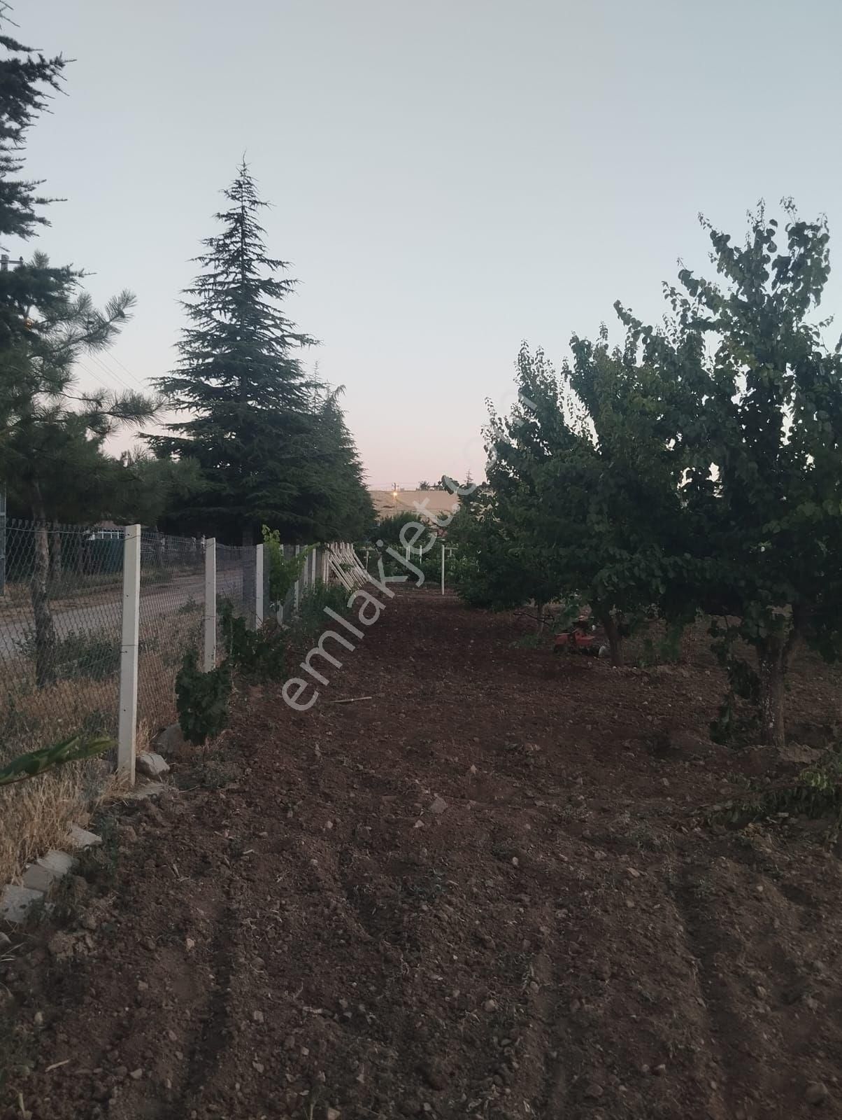 Kırıkkale Hacılarda Satılık Bahçeler - Görsel 22