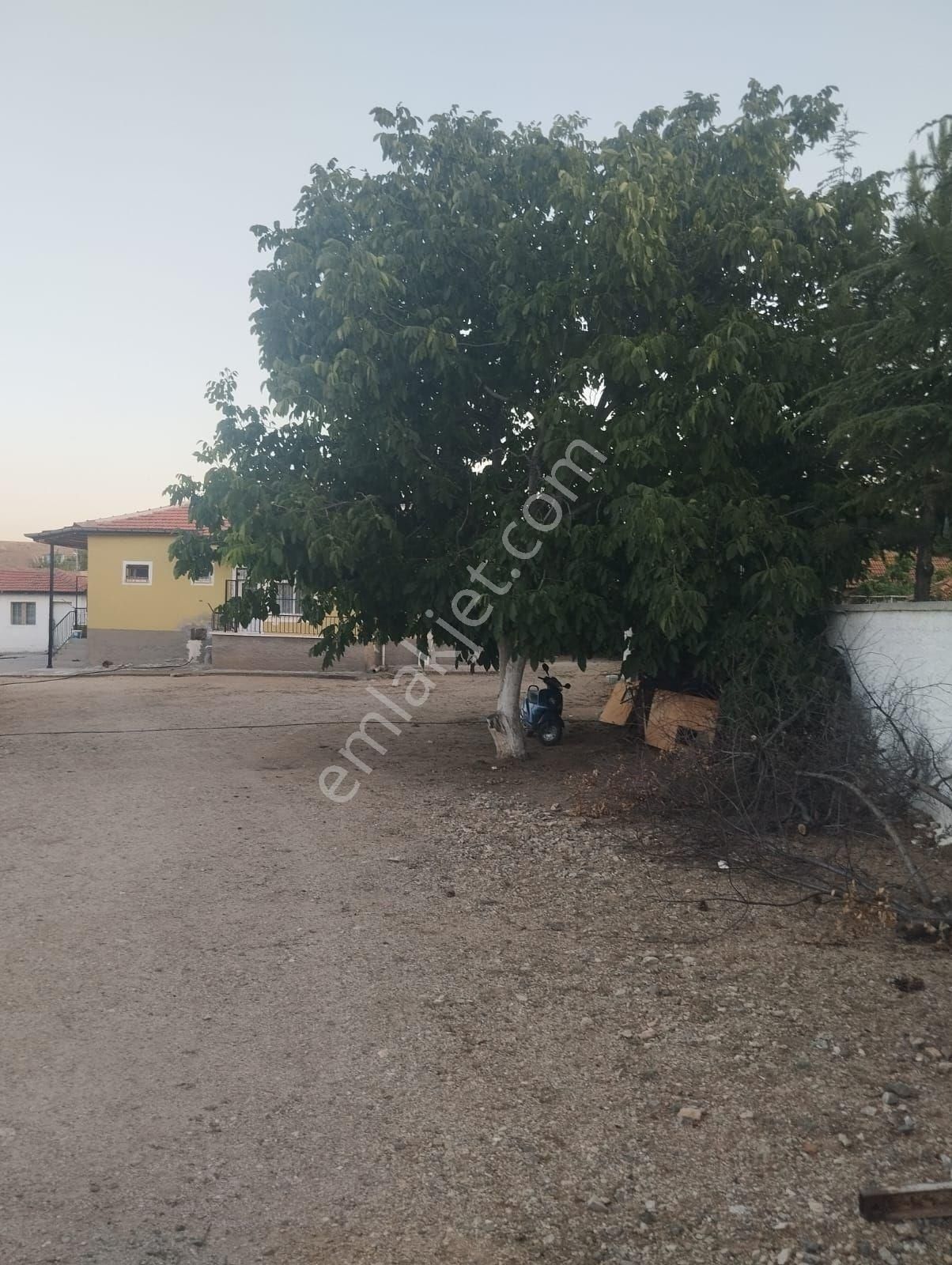 Kırıkkale Hacılarda Satılık Bahçeler - Görsel 3