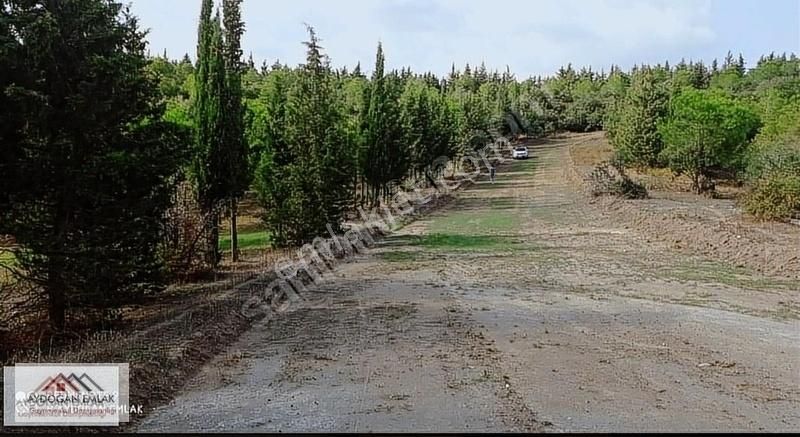 Susurluk Günaydın Satılık Tarla Balıkesir Susurluk Gunaydında Mükemmel Konumda!!10.000m2 G.e.s Ve R.e.s Arazisi (yeka Alanı)