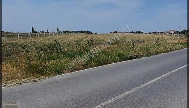 Daha Ucuzu Yok - Görsel 2