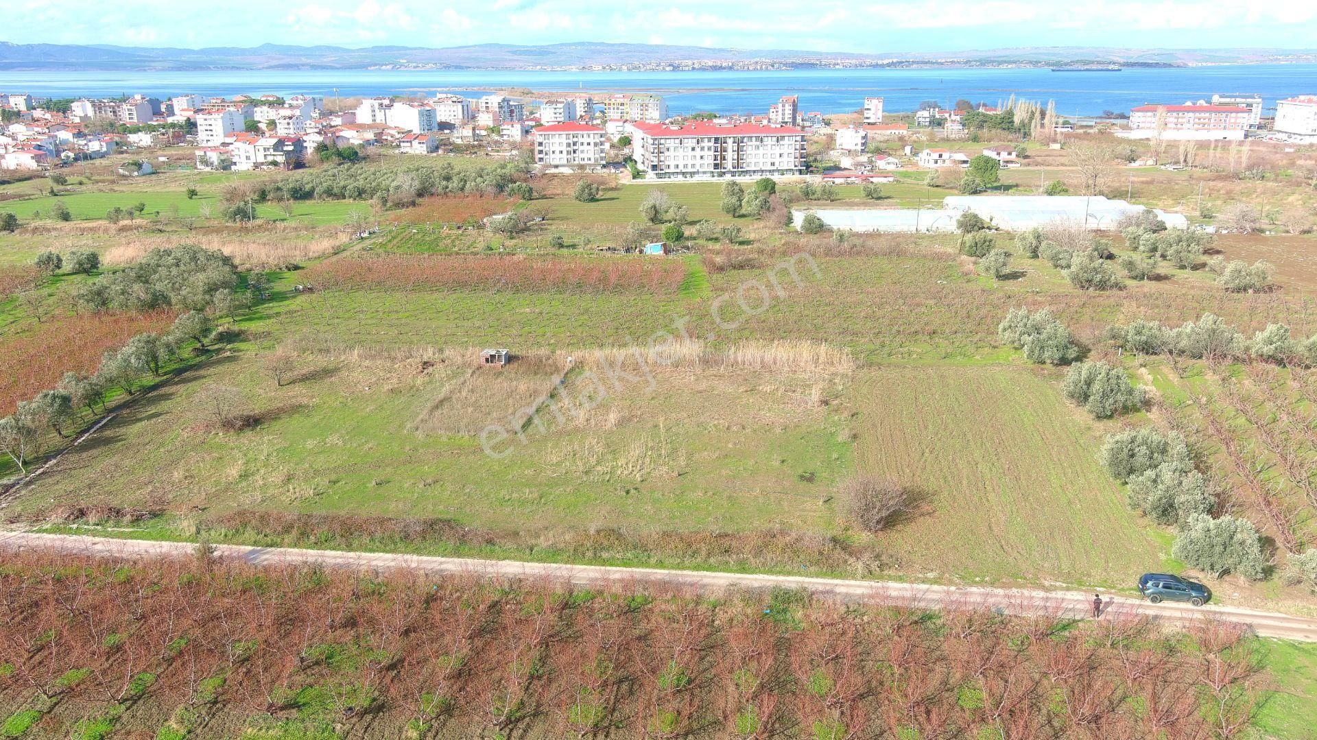 🔹 Çanakkale Lapseki Çardak'ta 300 M2 Hemen İnşaat Yapılabilir Satılık Arsa - Görsel 21