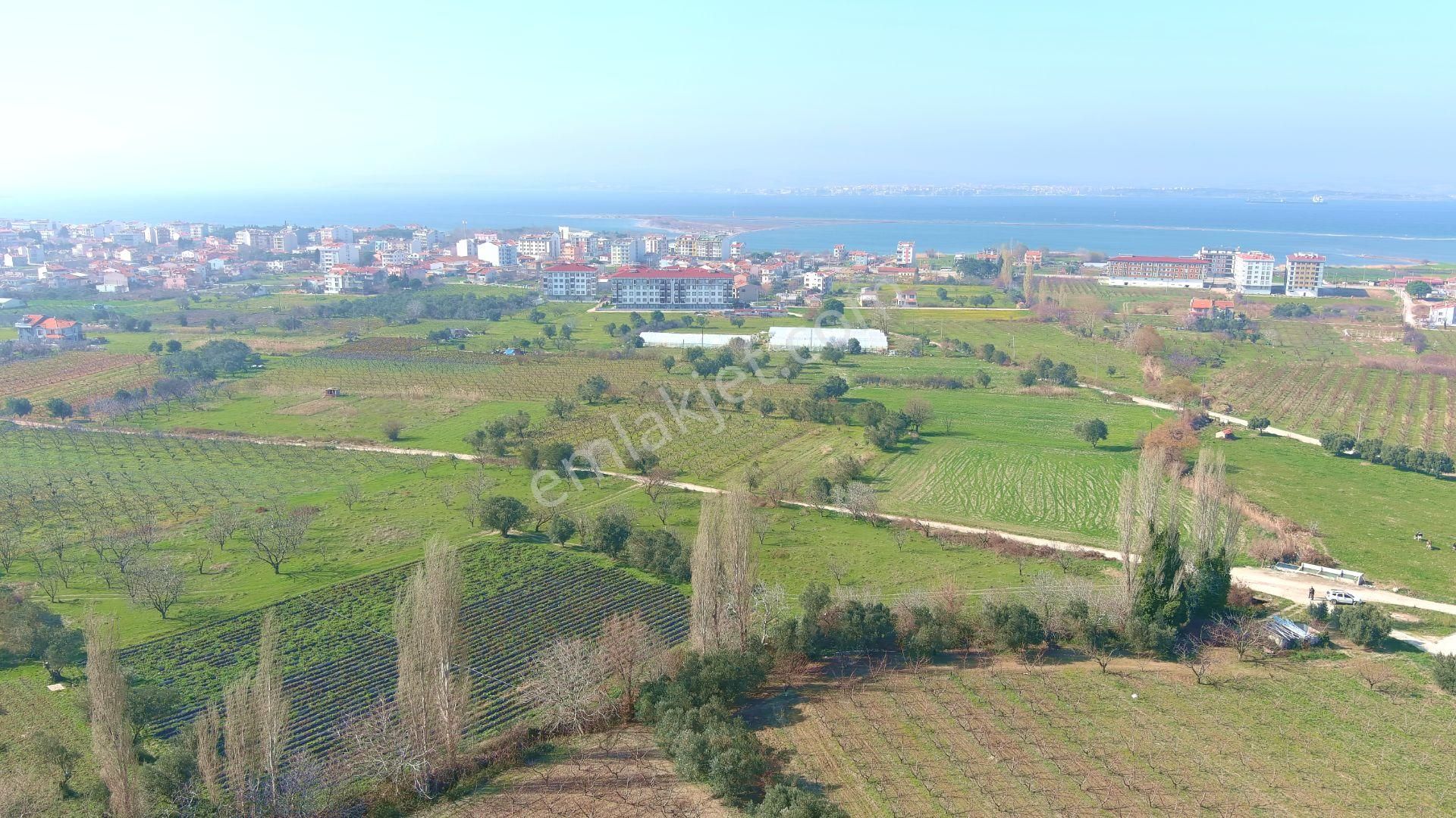 🔹 Çanakkale Lapseki Çardak'ta 300 M2 Hemen İnşaat Yapılabilir Satılık Arsa - Görsel 23