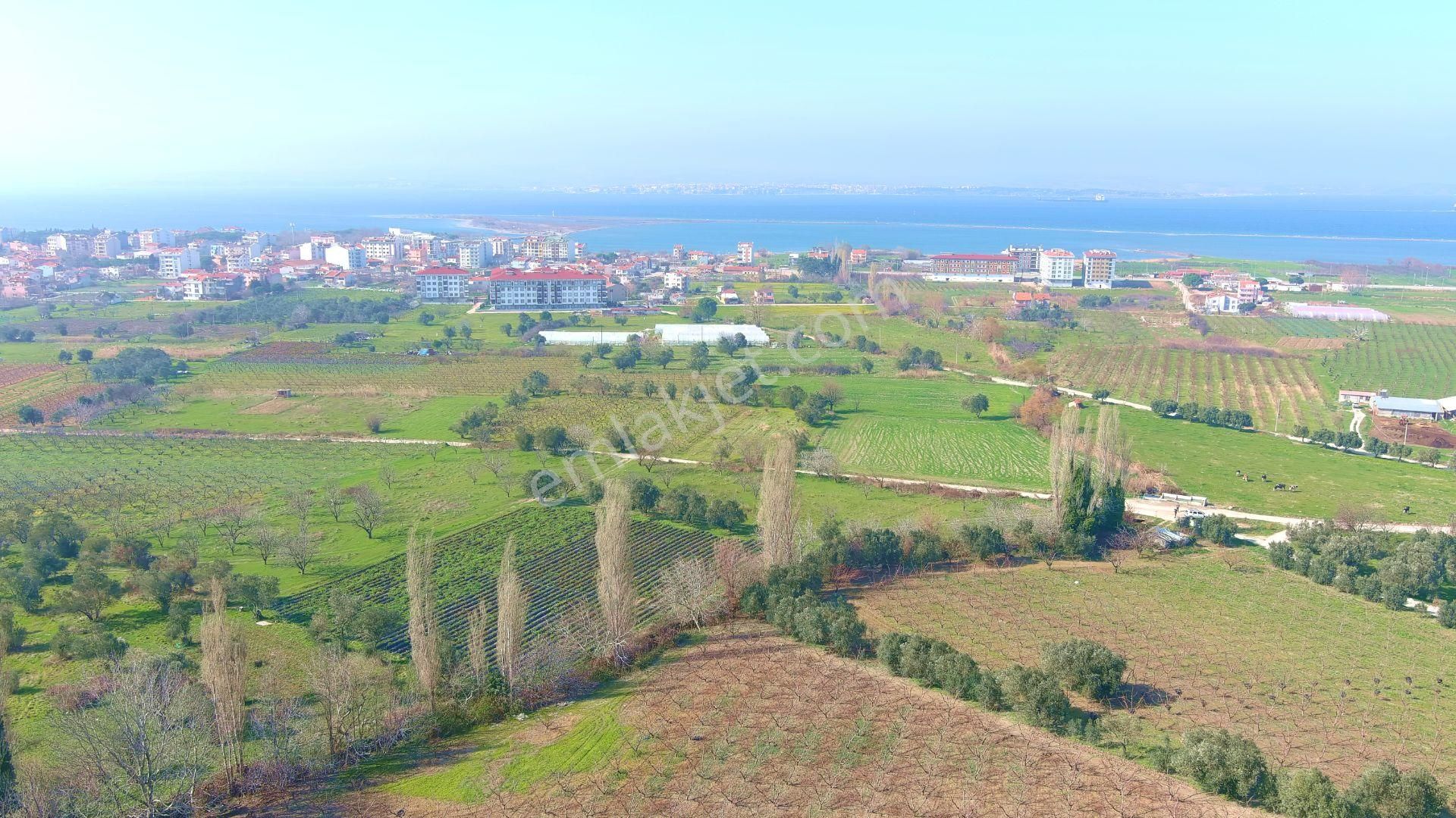 🔹 Çanakkale Lapseki Çardak'ta 300 M2 Hemen İnşaat Yapılabilir Satılık Arsa - Görsel 11