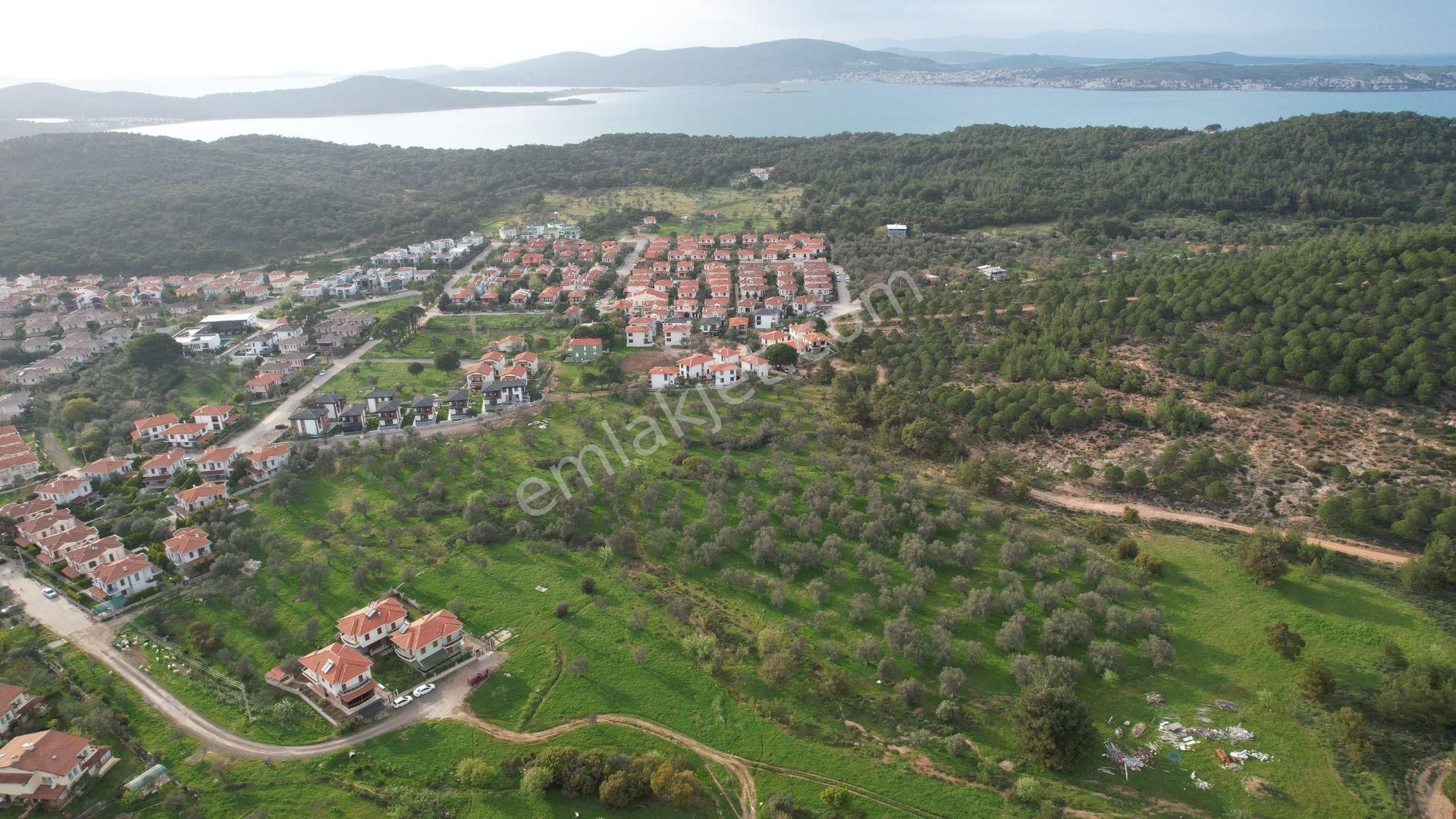 Ayvalık Sefa Çamlık Satılık Villa İmarlı  BALIKESİR AYVALIK CAMLIK TA SATILIK 2540 METRE KARE VİLLA İMARLI