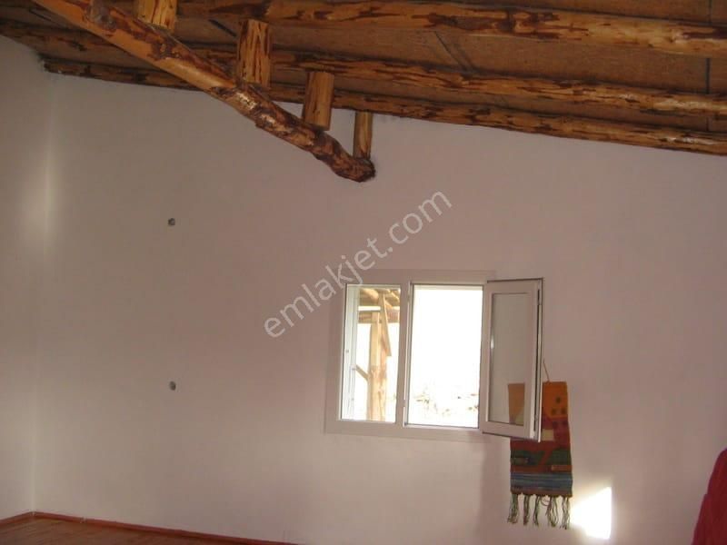 003-organik Sertifikalı Çiftlik - Görsel 7