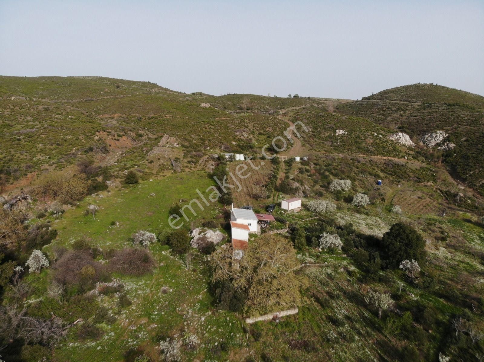 003-organik Sertifikalı Çiftlik - Görsel 3